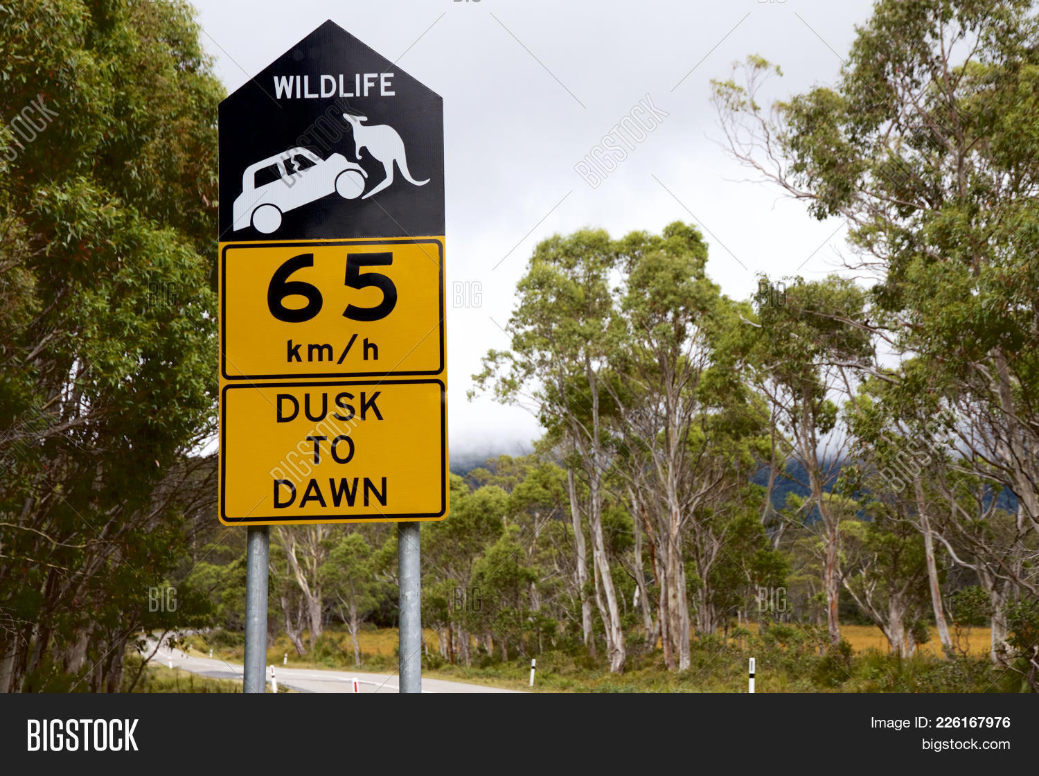 65,animal,attention,background,beware,car,caution,country,crossing,danger,drive,habitat,information,kangaroo,km,landscape,nature,outdoor,park,road,roadsign,rural,safety,sign,signage,signpost,street,symbol,tourism,traffic,travel,vehicle,warning,white,wild,wildlife,yellow