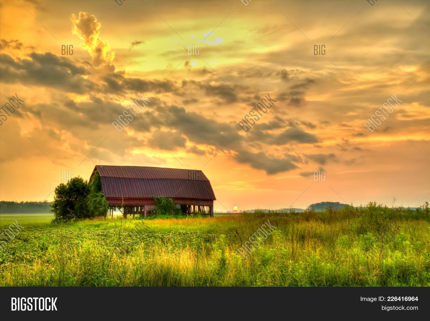 America,American,Americana,Iowa,Kansas,Midwest,Nebraska,Ohio,Oklahoma,States,USA,United,agricultural,agriculture,background,barn,beautiful,copy,country,day,exterior,farm,field,horizon,landscape,lifestyle,nature,old,outdoors,ranch,red,rural,rustic,scenery,scenic,sky,space,summer,sunny,sunset,vibrant,weather,wooden
