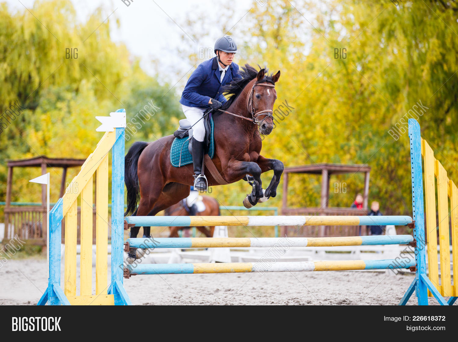 action,activities,animal,bar,barrier,bay,beautiful,bridle,champion,championship,competition,contest,difficulty,equestrian,equine,equitation,event,female,fence,field,harness,high,horse,horse-riding,horseback,horseman,hurdle,jockey,jump,jumping,motion,obstacle,outdoor,people,purebred,ride,rider,riding,saddle,show,sport,sportsman,stallion,training,white,winner,young