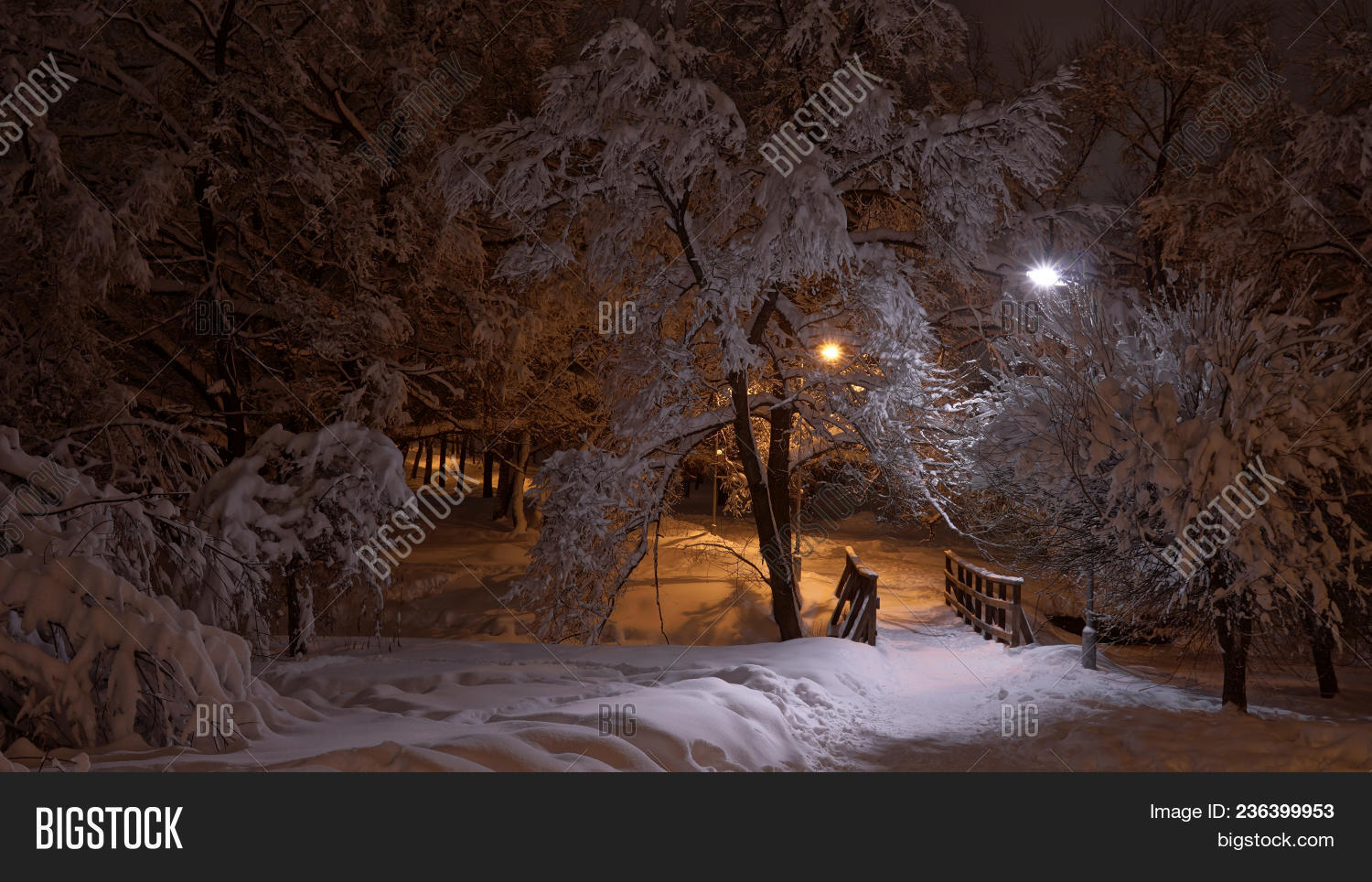HDR,alley,beautiful,blizzard,bridge,christmas,city,cold,december,electric,evening,february,forest,frost,frozen,heavy,ice,january,lamp,landscape,lane,light,nature,night,nobody,outdoors,park,path,peaceful,quiet,scene,season,seasonal,shining,snow,snowfall,snowy,solitude,spark,sparkle,tranquil,travel,tree,view,white,winter,wood,xmas