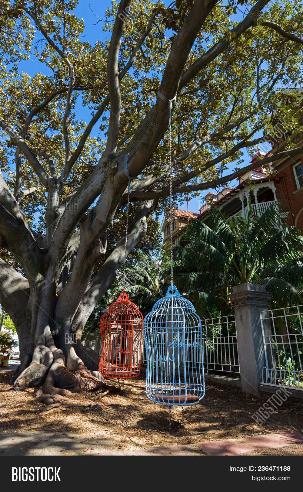 Two Human Sized Large Bird Cage Seats Hanging From Moreton Bay