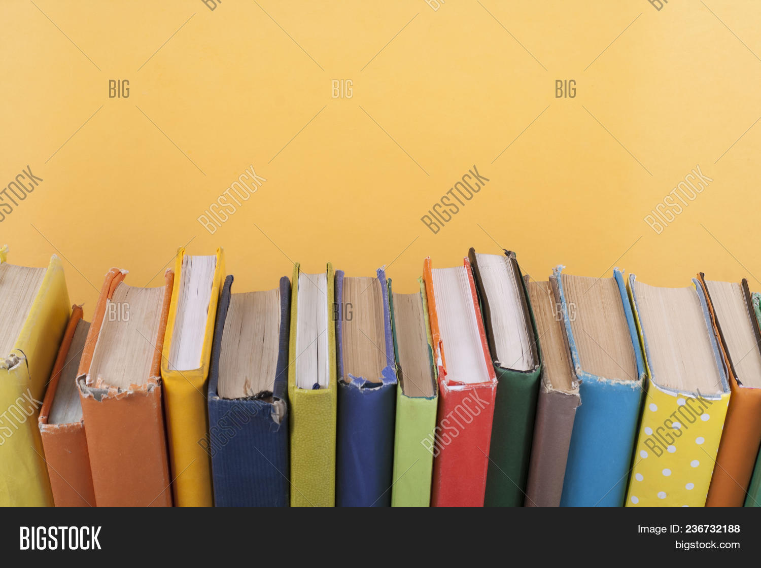 ad,archive,back,background,blue,book,bookmark,bookstore,business,campus,certificate,club,college,copy,covers,data,dictionary,diploma,education,growth,hardcover,imagination,information,knowledge,law,learn,legal,leisure,library,literacy,literature,novel,open,page,paper,publisher,read,school,science,stack,story,study,table,tale,teacher,text,textbook,university,wisdom,wooden