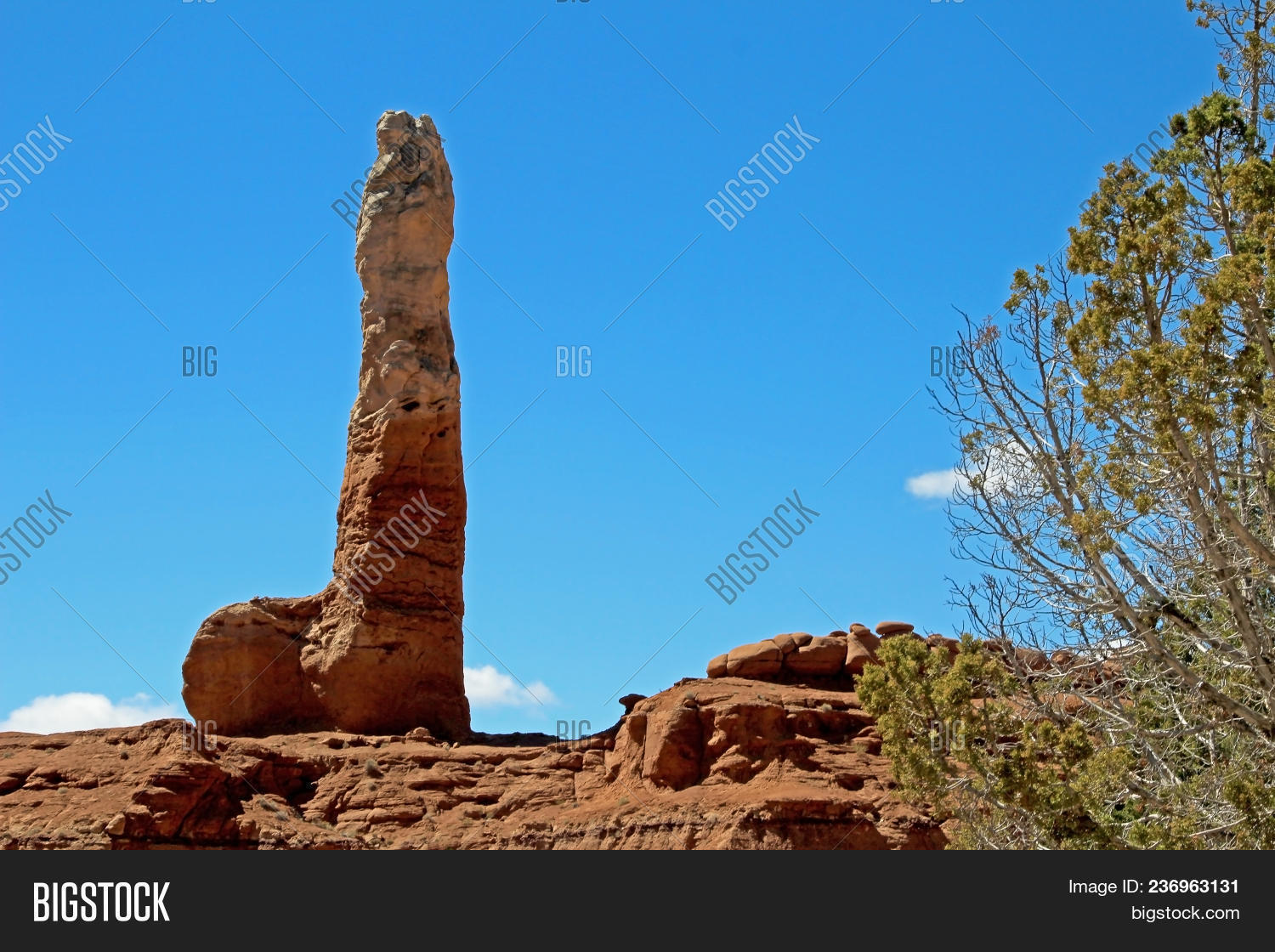adventure,america,attraction,background,basin,big,brown,canyon,cock,color,cottonwood,desert,erection,erosion,erotica,escalante,formation,funny,geology,kodachrome,kodachromebasin,landscape,male,man,mountain,natural,nature,outdoor,park,penis,phallus,red,road,rock,sand,sandstone,sex,sexual,sky,state,stone,symbol,travel,usa,utah,vacation,wilderness