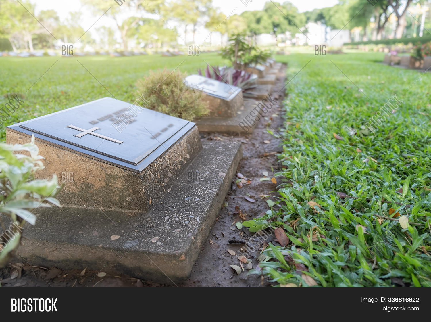 Christianity,Europe,background,beautiful,beauty,bloom,blossom,burial,cemetery,christian,church,color,colorful,cross,crying,day,dead,death,decoration,environment,floral,flower,garden,grass,grave,graveyard,green,landscape,memorial,mourning,natural,nature,old,outdoor,park,peace,peaceful,plant,religion,respect,sad,spring,stone,summer,tomb,tombstone,travel,tree,white,yellow