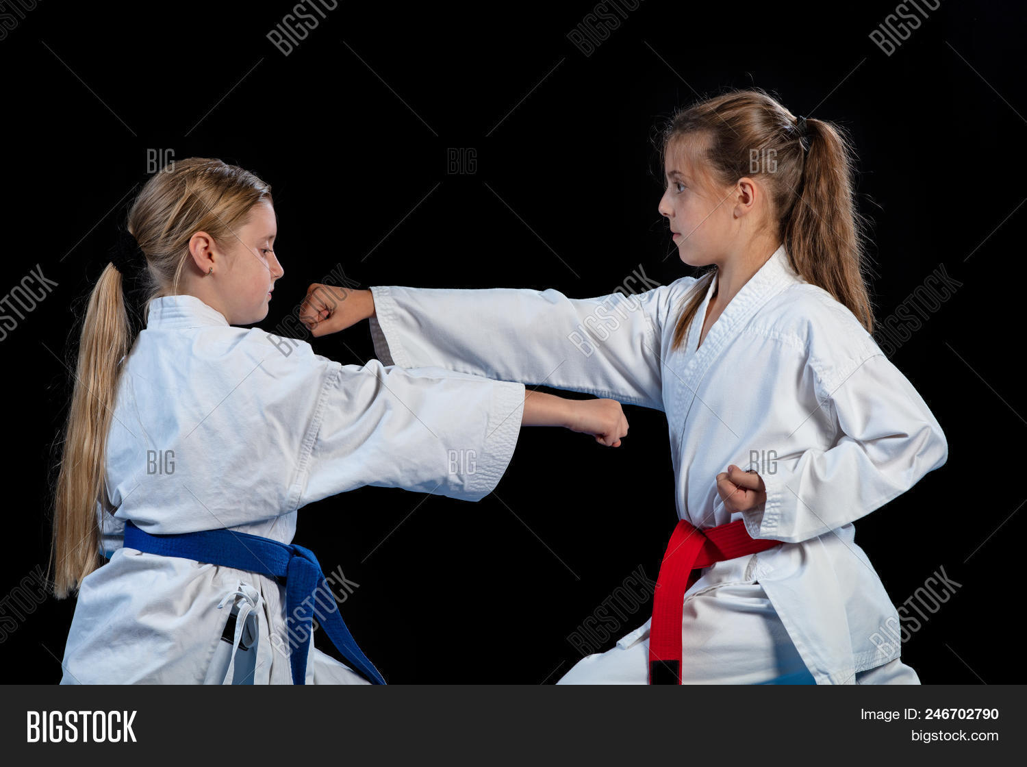 activity,arts,athlete,attack,background,beautiful,belt,black,black-belt,body,boy,brazilian,caucasian,confidence,dark,defense,dominant,exercise,female,fighter,force,girl,hands,hip,individual,japan,judo,jujitsu,karate,kick,kids,kimono,leg,lifestyle,little,martial,people,pose,position,posture,sparring,sport,strong,taekwondo,technical,uniform,white,yellow,young