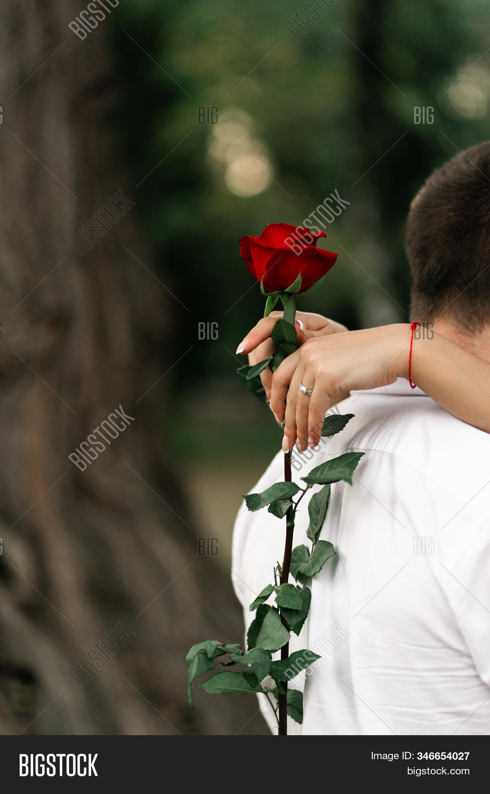 isolated, 																					abstract, 																					relationships, 																					special, 																					proposal, 																					anniversary, 																					celebration, 																					concept, 																					waiting, 																					men, 																					wedding, 																					nature, 																					rose, 																					hand, 																					seasonal, 																					caucasian, 																					one, 																					cheerful, 																					lifestyle, 																					outdoor, 																					present, 																					shirt, 																					flower, 																					valentine, 																					day, 																					man, 																					romantic, 																					white, 																					holding, 																					red, 																					romance, 																					love, 																					gift, 																					single, 																					people, 																					happiness, 																					young, 																					male, 																					adult, 																					background, 																					beautiful, 																					happy, 																					surprise, 																					floral, 																					fashion, 																					person, 																					urban