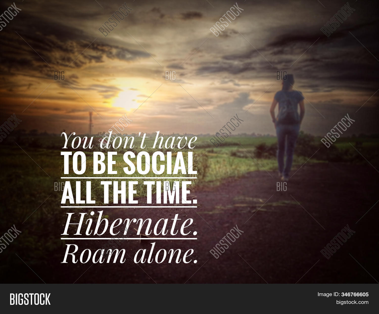you,do,not,have,be,social,all,time,hibernate,roam,alone,storm,stormy,dark,light,sun,sunset,sunrise,arise,down,shadow,concept,solitude,meditate,contemplate,walk,walking,lonely,young,girl,female,woman,field,outdoor,clouds,sky,rural,view,countryside,road,moody,abstract,dramatic,colorful,shine,life,balance,balancing,refresh,adventure