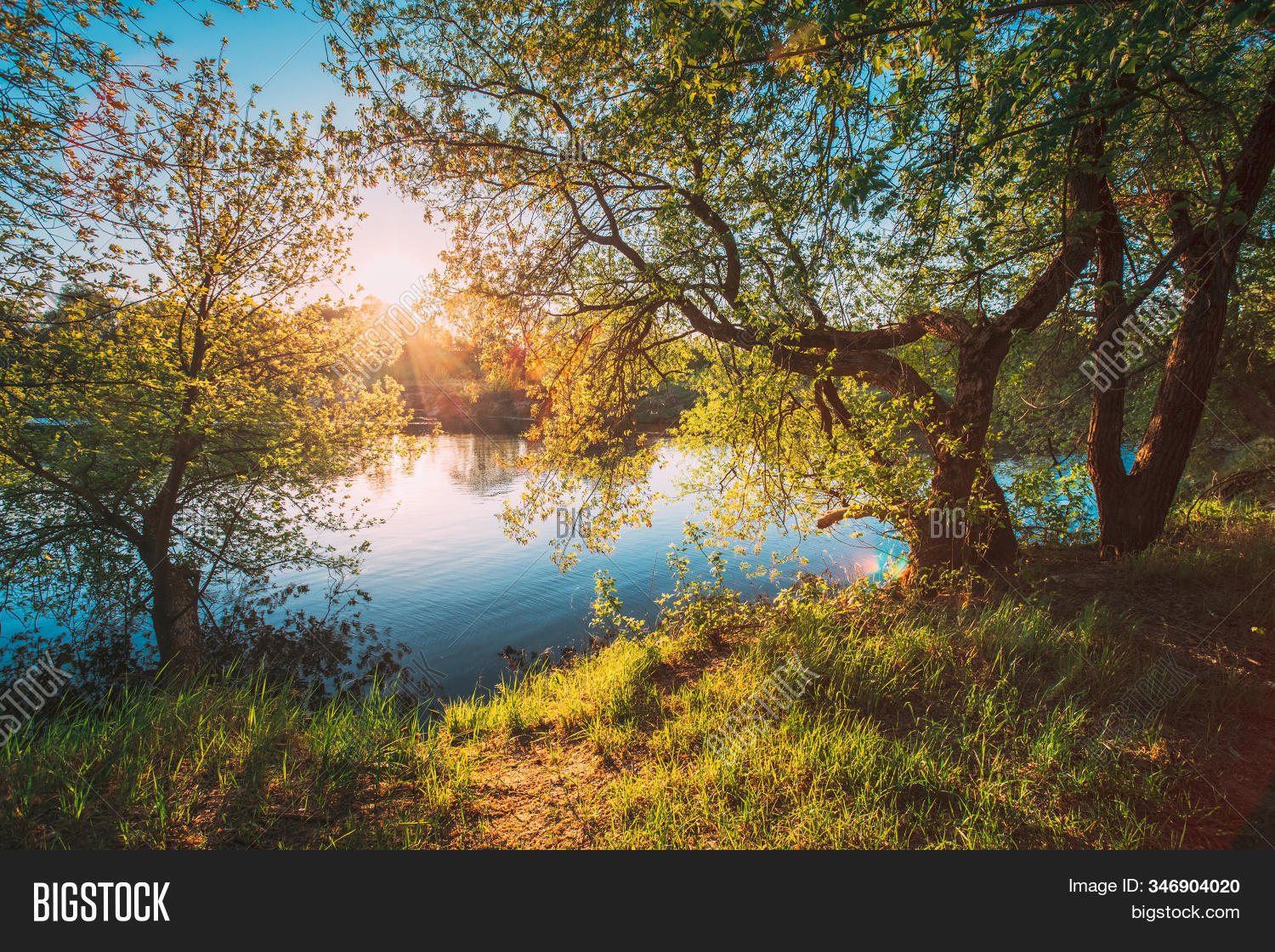 beautiful, 																					branch, 																					bright, 																					canopy, 																					crown, 																					day, 																					daylight, 																					deciduous, 																					environment, 																					europe, 																					flora, 																					foliage, 																					forest, 																					green, 																					greenery, 																					growing, 																					growth, 																					high, 																					landscape, 																					light, 																					lush, 																					nature, 																					outdoor, 																					park, 																					plant, 																					river, 																					russia, 																					scene, 																					scenic, 																					season, 																					spring, 																					summer, 																					sun, 																					sunlight, 																					sunny, 																					sunray, 																					sunrise, 																					sunset, 																					sunshine, 																					tree, 																					wood