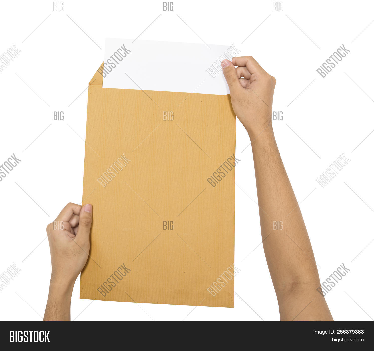 background,blank,brown,business,color,communicate,communication,concept,corporate,data,delivery,design,detail,document,empty,envelop,envelope,file,folder,hand,information,isolated,letter,mail,mailing,message,note,object,office,open,package,paper,post,postage,postal,service,sheet,shipping,stationery,texture,textured,white