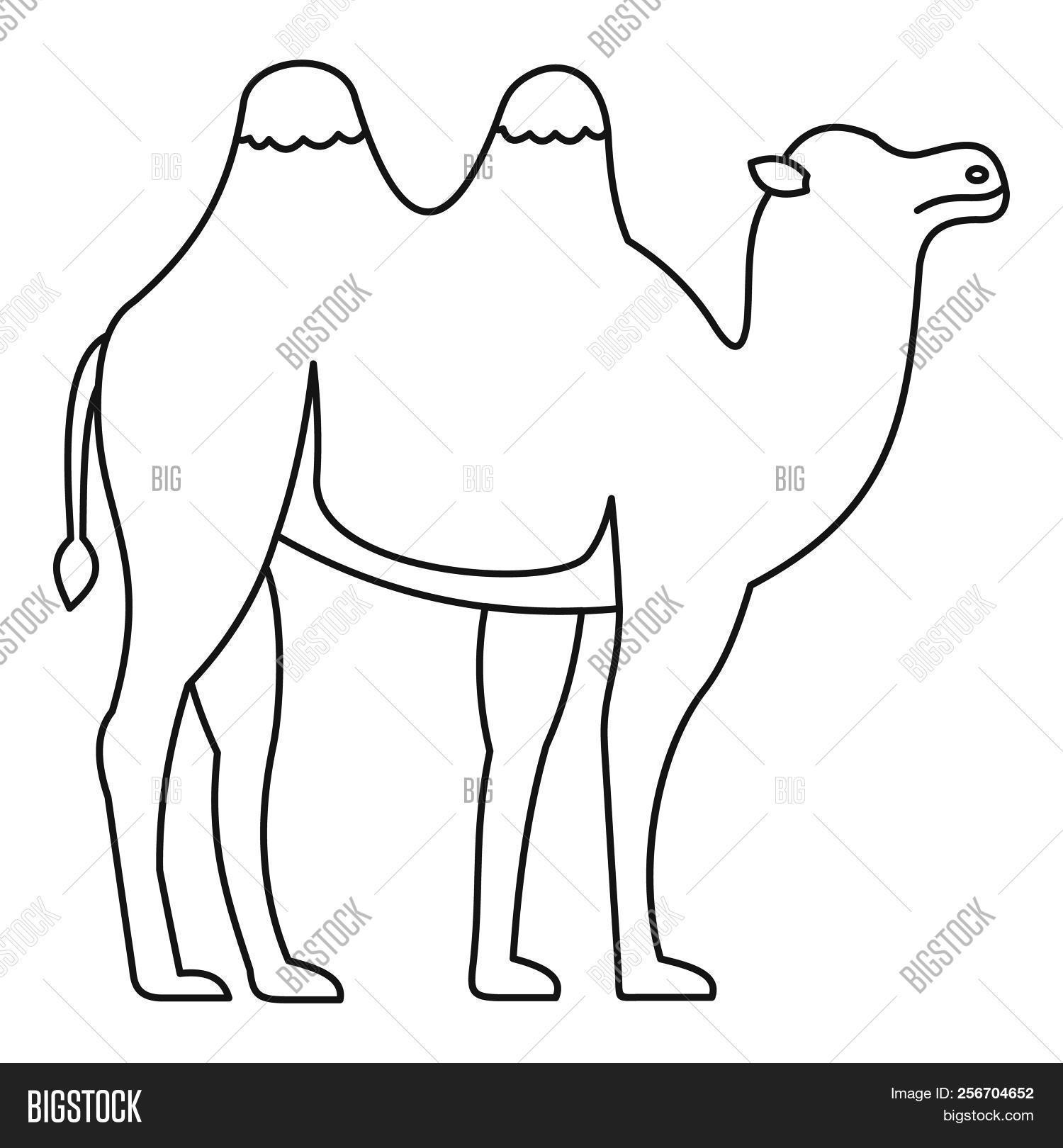 animal,arab,arabia,arabian,arabic,asia,black,bridle,camel,cappadocia,culture,desert,dromedary,dubai,east,eastern,egypt,face,funny,fur,goreme,head,hump,icon,line,mammal,mountain,national,nature,object,oriental,ornament,outdoor,outline,ride,sand,sign,stone,summer,thin,tourism,touristic,traditional,transport,transportation,travel,turkey,turkish,wildlife