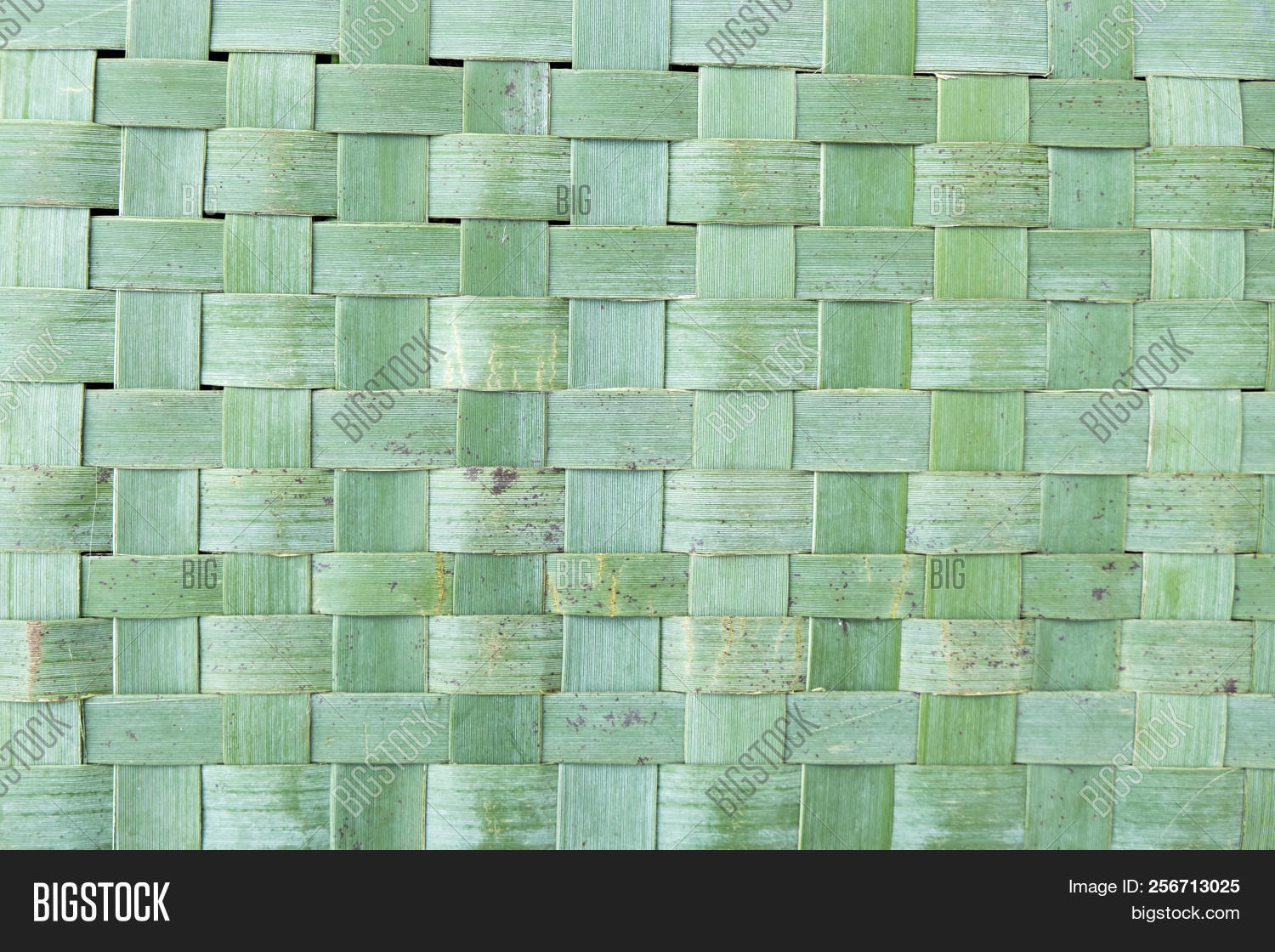 Phormium,abstract,background,blemish,blemished,flawed,flaws,flax,green,harakeke,imperfect,kete,kiwiana,maori,mat,matt,new,nz,pattern,tenax,weaving,woven,zealand