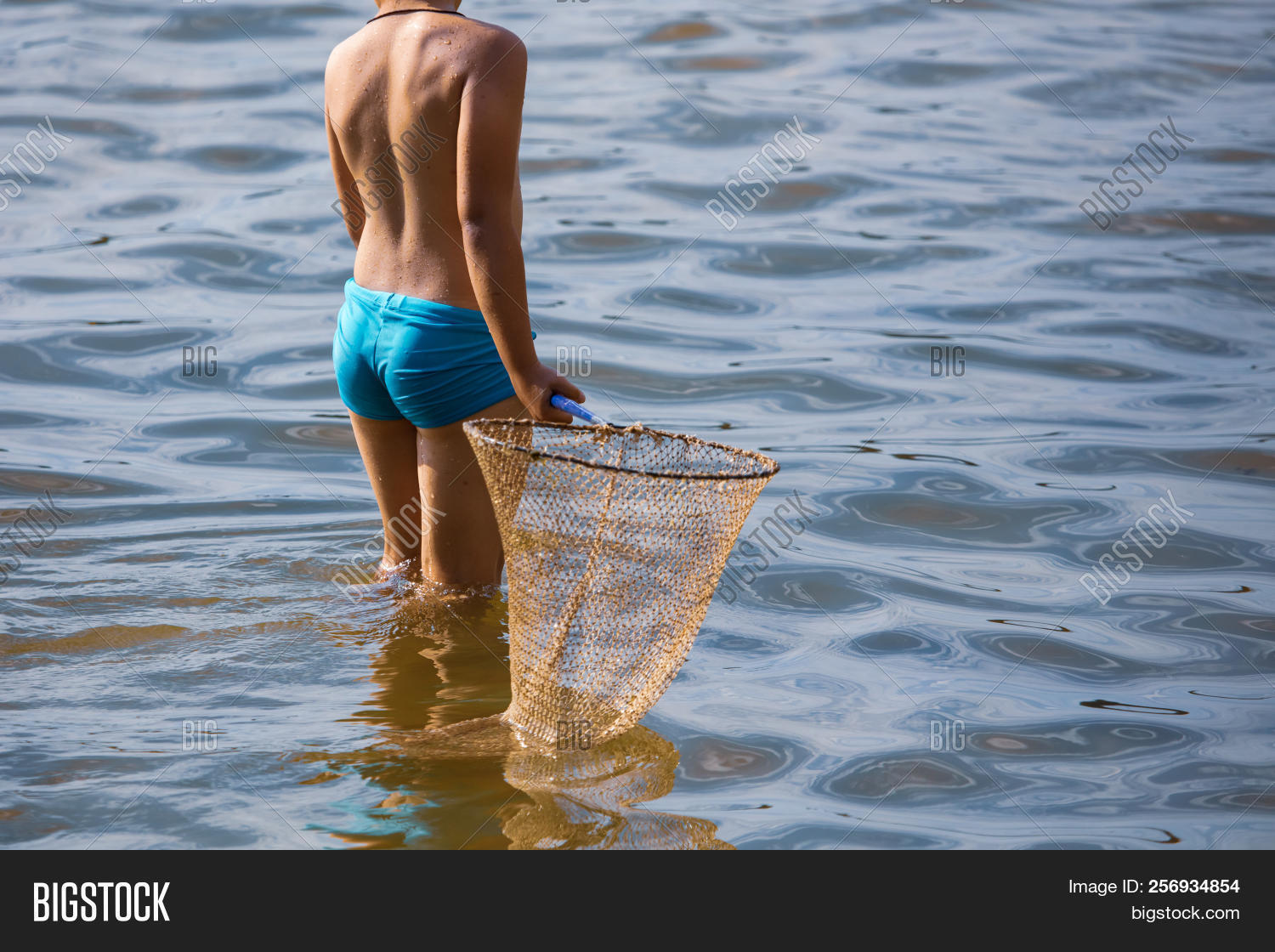 activity,boy,catch,catching,child,childhood,fish,fisherman,fishing,fun,happiness,lake,leisure,lifestyle,little,male,nature,net,one,people,pond,river,summer,water,young