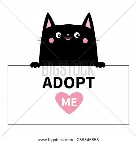 welcome to image bank bangladesh pet adoption