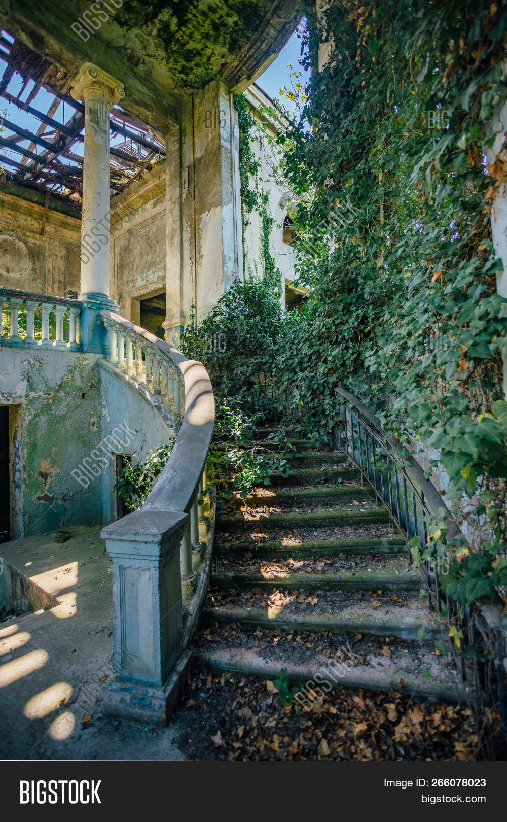 abandoned,abkhazia,ancient,architecture,broken,building,column,creepy,culture,dark,destroy,destruction,disaster,estate,grass,green,hall,haunted,heritage,historic,historical,history,home,house,inside,interior,ivy,leaf,majestic,manor,mansion,moss,nature,noble,nobody,overgrown,palace,post-apocalyptic,ruin,sinister,spiral,staircase,stairs,stairway,step,stone,summer,theater,villa,war