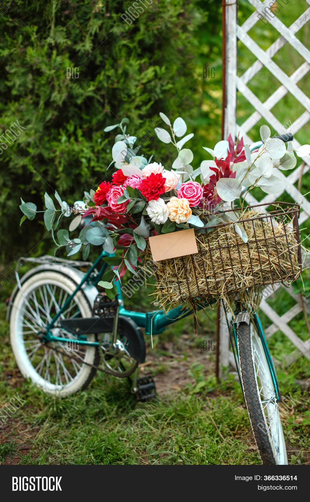 flower, 																					bicycle, 																					basket, 																					bike, 																					vintage, 																					outdoor, 																					retro, 																					summer, 																					old, 																					transport, 																					beautiful, 																					wheel, 																					background, 																					nature, 																					green, 																					cycle, 																					travel, 																					park, 																					color, 																					decoration, 																					spring, 																					decor, 																					design, 																					white, 																					antique, 																					street, 																					floral, 																					grass, 																					transportation, 																					bouquet, 																					ride, 																					romantic, 																					vacation, 																					lifestyle, 																					style, 																					garden, 																					plant, 																					blossom, 																					recreation, 																					day, 																					city, 																					classic, 																					red, 																					relaxation, 																					urban, 																					tree, 																					rural, 																					pink, 																					leisure