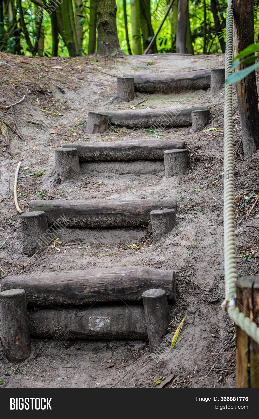 access, 																					adventure, 																					ancient, 																					background, 																					beautiful, 																					day, 																					destination, 																					direction, 																					environment, 																					foliage, 																					footpath, 																					forest, 																					garden, 																					green, 																					journey, 																					landscape, 																					leaf, 																					moss, 																					natural, 																					nature, 																					nobody, 																					old, 																					outdoor, 																					park, 																					path, 																					pathway, 																					plant, 																					rock, 																					rural, 																					season, 																					spring, 																					stair, 																					staircase, 																					stairway, 																					step, 																					stone, 																					sun, 																					sunlight, 																					track, 																					trail, 																					travel, 																					tree, 																					up, 																					walk, 																					walkway, 																					way, 																					wild, 																					wood