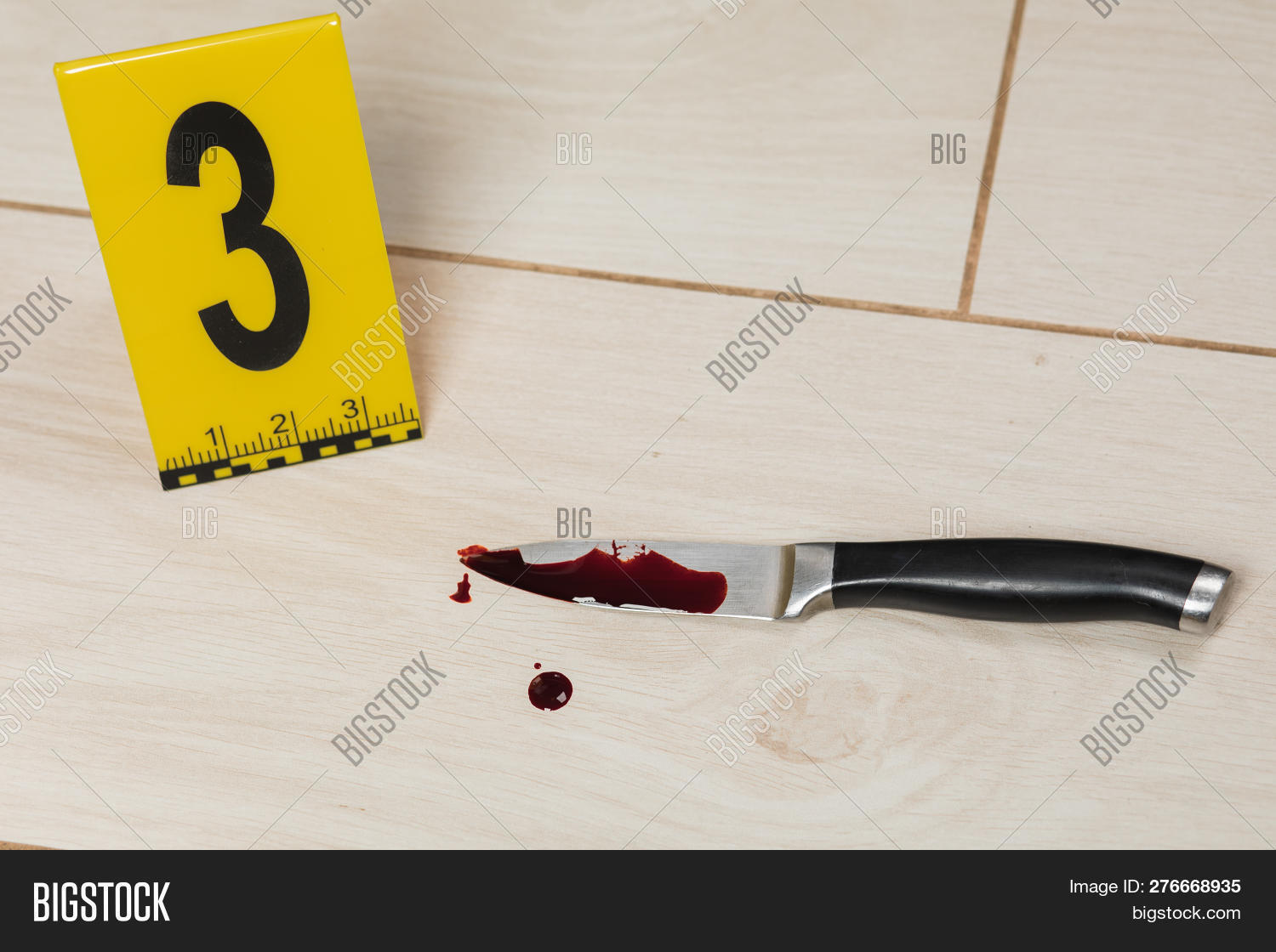 analysis,attack,background,blood,case,casing,check,closeup,clues,collect,crime,criminal,criminologist,criminology,death,detective,documentation,evidence,examination,forensic,gather,homicide,house,incident,inspector,investigation,kill,killing,knife,law,location,murder,numeral,object,offense,police,proof,scene,shell,sign,splatter,stabbing,stain,trace,victims,violence,weapon,yellow
