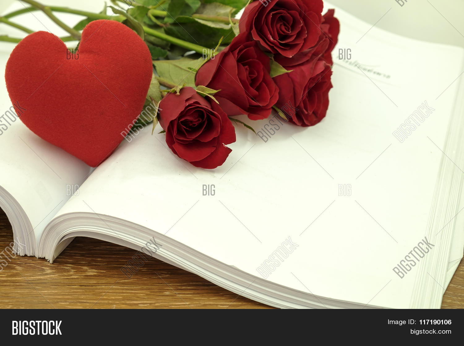 adore,affection,author,backdrop,background,badge,bloom,blooming,blossom,book,bud,buhgan,concept,each,ether,face,flower,heart,love,memory,music,necklace,note,notebook,other,paragraphs,passion,please,punctuation,red,remember,romance,romantic,roses,script,service,sheet,space,spacing,tenderness,white,write