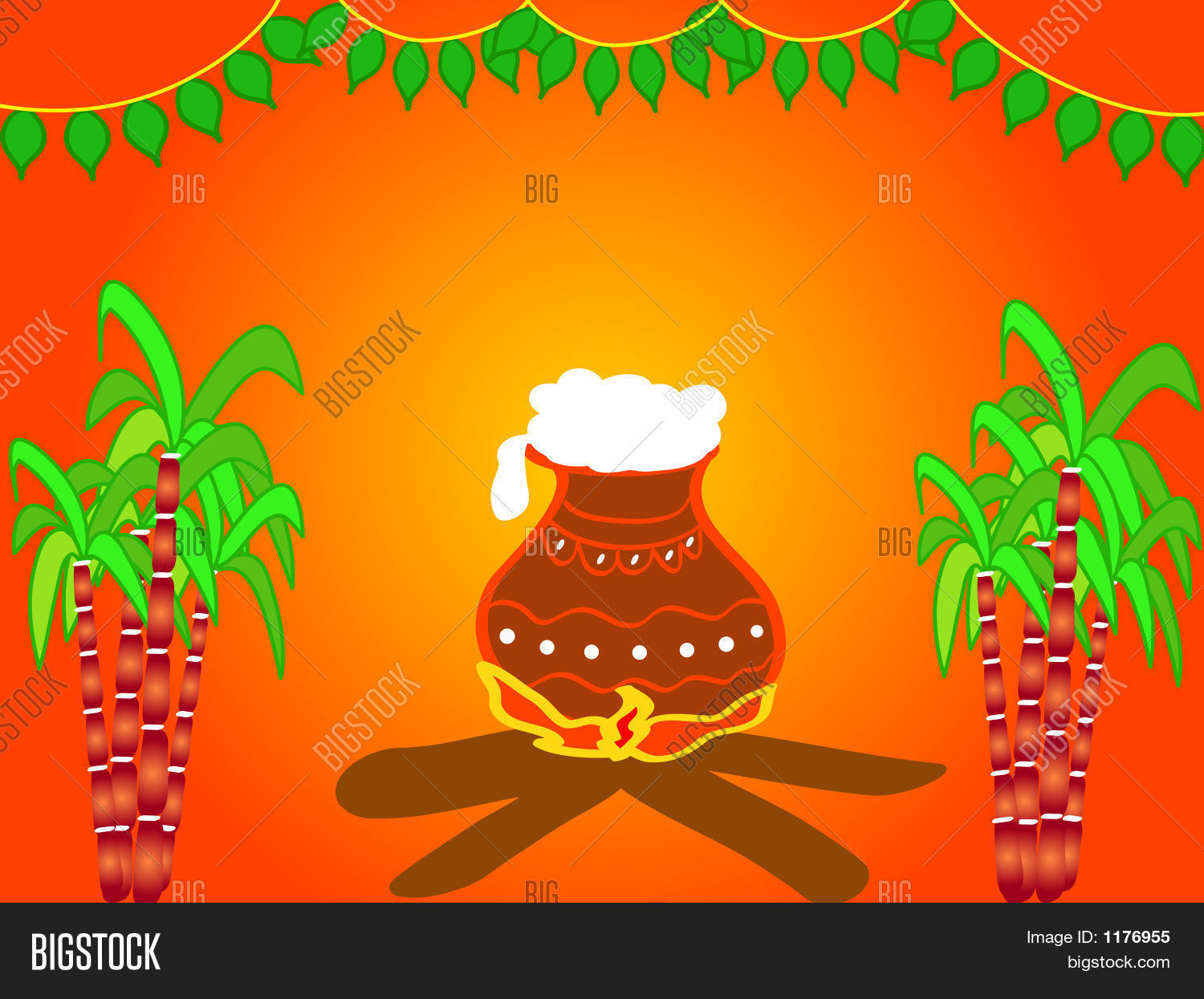 agriculture,background,baisaki,brown,cane,celebration,colorful,colors,cooking,crop,decoration,design,festival,fresh,graphic,green,greeting,grow,growth,harvest,hindu,illustration,india,indian,leaves,nature,orange,plants,pongal,pot,religion,religious,sankranthi,season,sugar,sugarcane,sweet,traditional,vessel,wishes,yellow