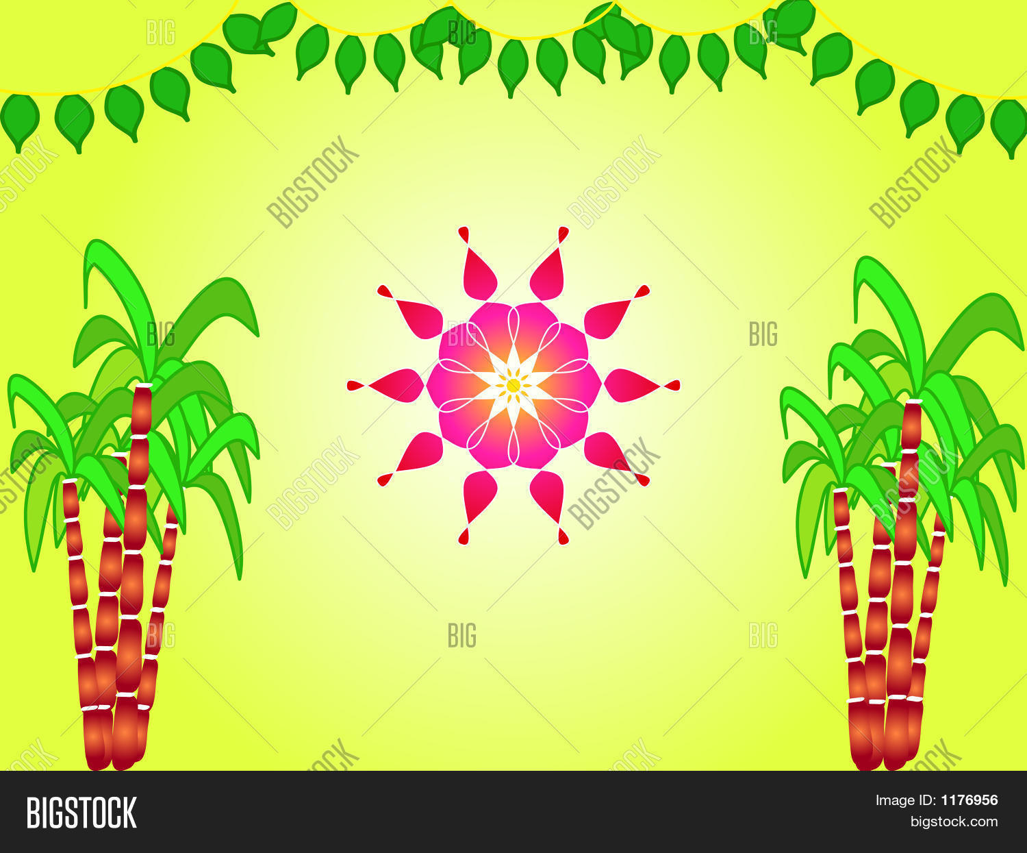 agriculture,background,baisaki,cane,celebration,colorful,colors,crop,decoration,design,festival,fresh,graphic,green,greeting,grow,growth,harvest,hindu,illustration,india,indian,leaves,nature,pattern,pink,plants,pongal,rangoli,religion,religious,sankranthi,season,sugar,sugarcane,sweet,traditional,wishes,yellow
