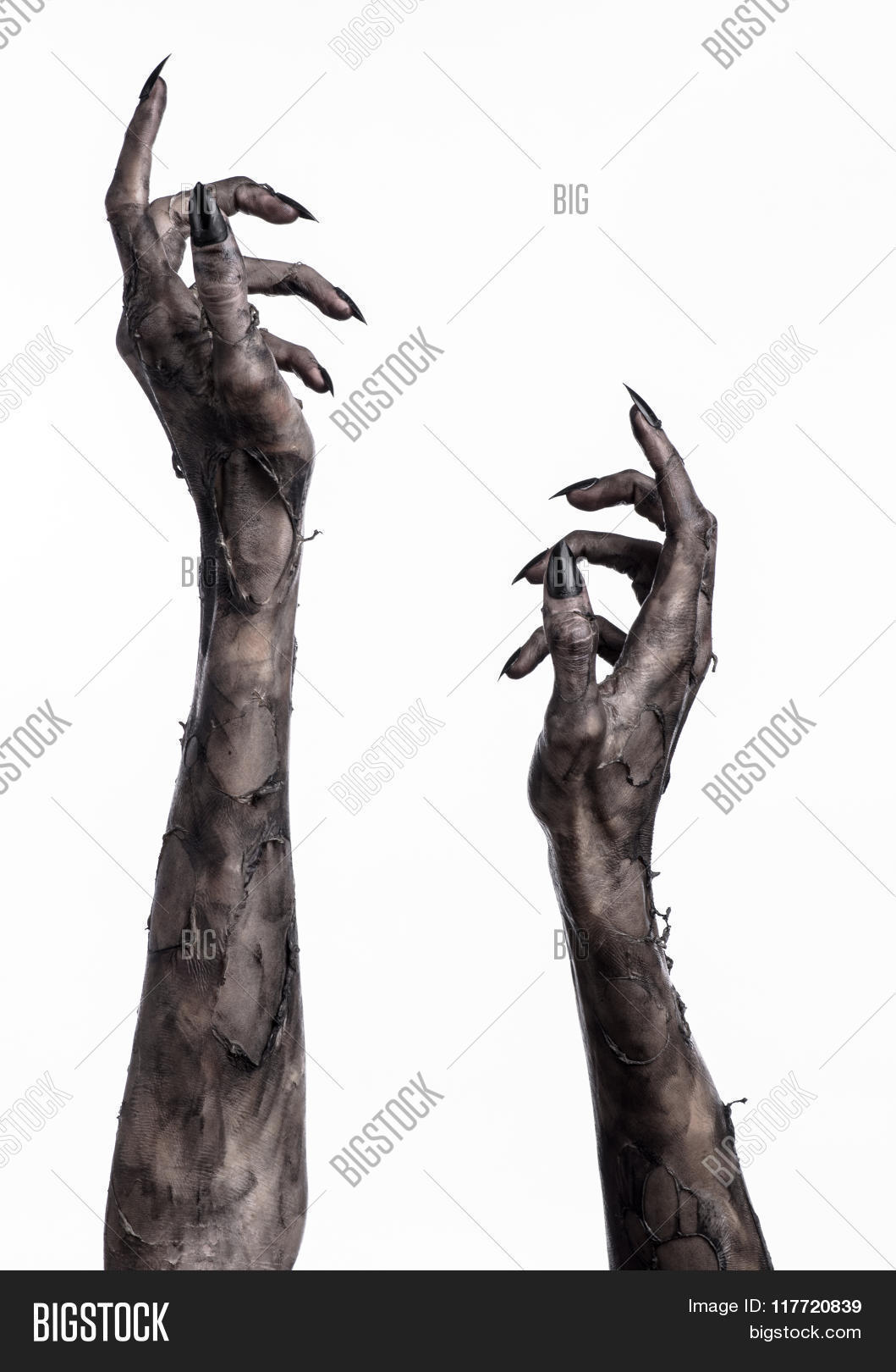 apocalypse,art,bizarre,black,blood,corpse,cruel,dark,darkness,dead,death,demon,devil,evil,fantasy,fear,ghost,grave,graveyard,ground,halloween,hand,haunted,hell,horror,human,imagine,isolated,male,man,monster,mummy,murder,mysterious,mystery,nails,night,pain,people,photography,reaching,satan,shadow,shock,skin,studio,undead,walking,white,zombie