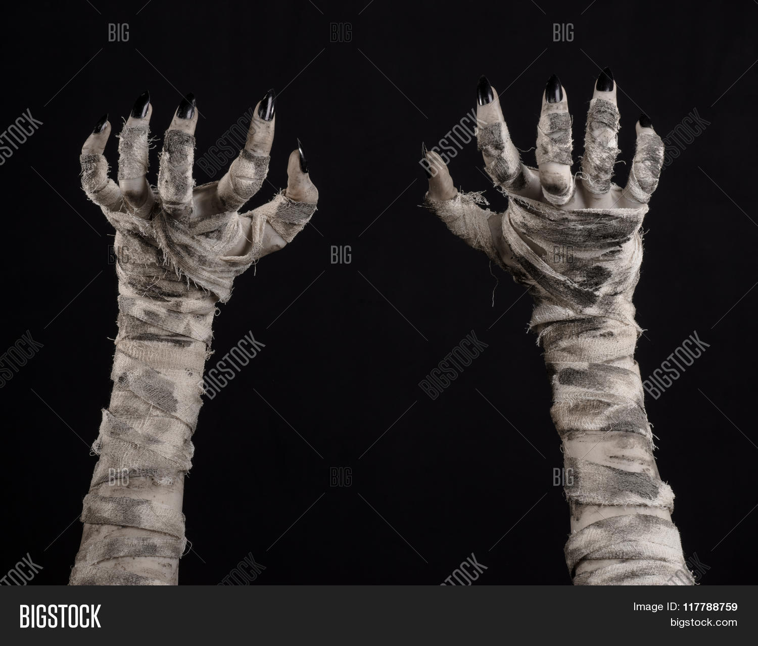 ancient,apocalypse,arm,bandage,corpse,costume,creature,creepy,crypt,dark,dead,death,demon,desert,dirty,egypt,egyptian,evil,fear,finger,halloween,hand,hell,horror,human,isolated,monster,mummification,mummified,mummy,mystic,mystical,nails,nightmare,old,people,pyramid,rotting,sand,sarcophagus,satan,scary,shock,spooky,studio,terrified,undead,walking,wrapped,zombie