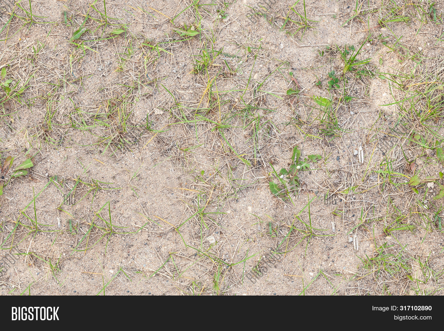 2k,4k,backdrop,background,blade,botanic,botany,clean,environment,field,flora,fresh,golf,grass,green,greenery,grounds,grow,growth,herb,land,landscape,lawn,lush,meadow,nature,outdoor,park,pattern,plain,plant,repeat,spring,summer,texture,tileable,turf