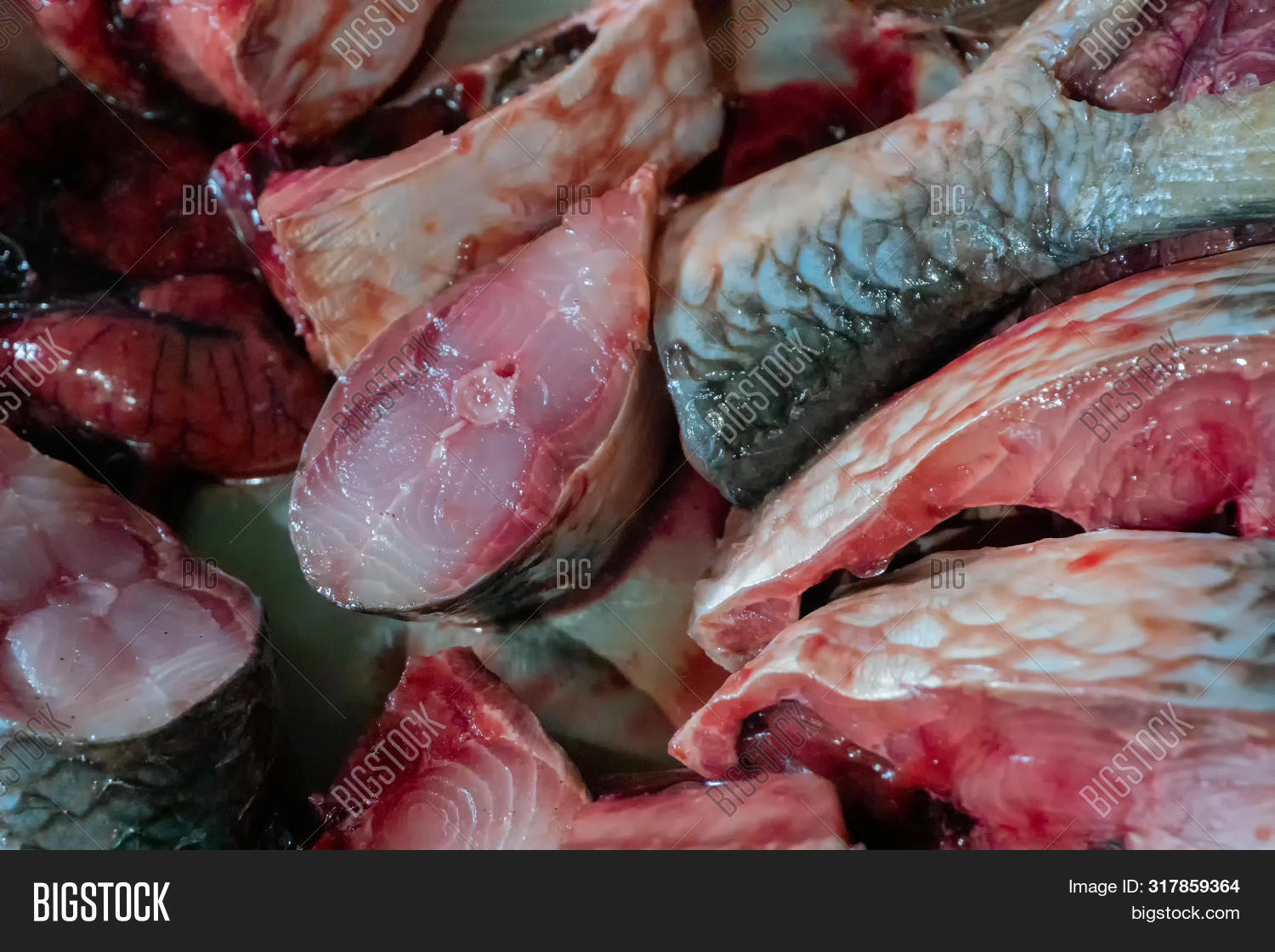 Bengali,India,Indian,Tenualosa,appetizer,bangladesh,bengal,closeup,cooking,cuisine,culinary,cut,cutting,delicious,eat,eating,fillet,fish,fishing,food,fresh,freshness,healthy,herring,hilsa,ilish,ilisha,industrial,marinated,meal,meat,nutritious,piece,popular,portion,preparation,prepared,processing,production,raw,recipe,red,seafood,section,slice,sliced,tasty,uncooked,west