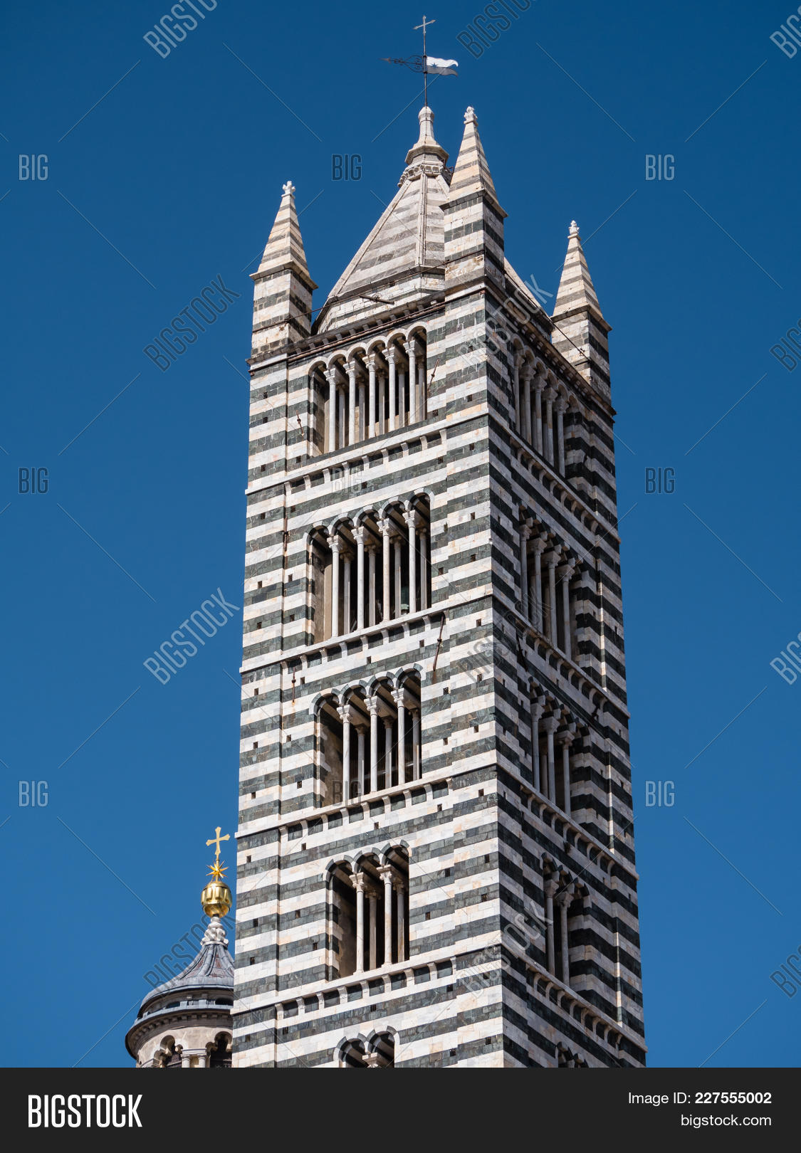 ancient,architecture,assunta,bell,building,cathedral,catholic,church,city,copula,cross,culture,cupola,dome,duomo,europe,exterior,facade,gold,gothic,heritage,historic,italian,italy,landmark,marble,maria,medieval,monument,old,philosopher,pisano,religion,religious,renaissance,romanesque,sculpture,siena,stripes,toscana,tourism,tower,town,travel,tuscan,tuscany,worship