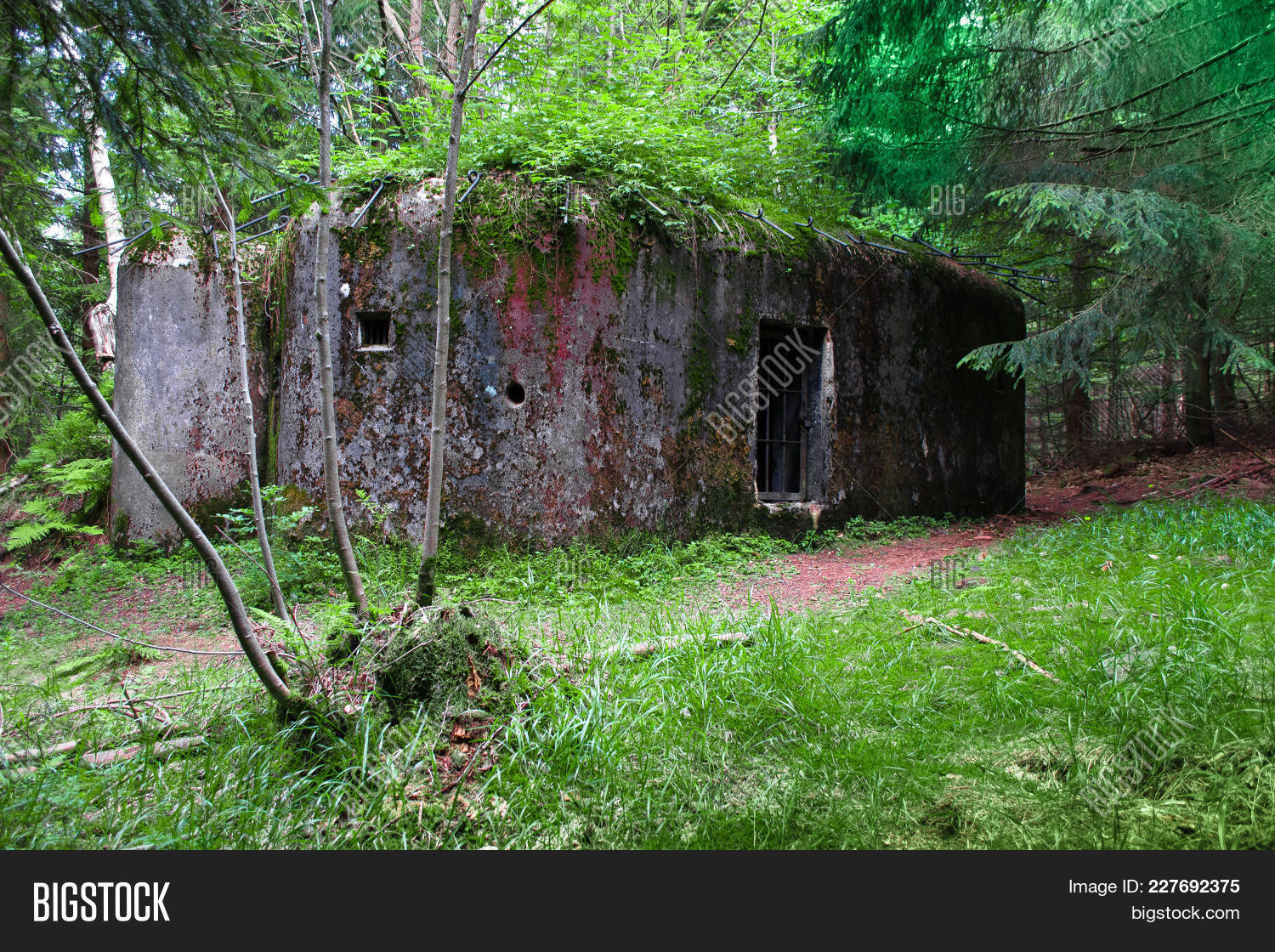 abandoned,architecture,armored,army,blockhouse,brown,building,bunker,camouflage,collapsed,combat,concrete,conflict,cover,danger,defending,defense,destroyed,dugout,europe,fight,forest,fortification,fortified,fortress,gun,heavy,historic,historical,landscape,mask,military,nature,old,protection,resistant,safe,shadow,shelter,soldier,survival,target,uniform,visor,war,weapon,wire,wood,ww2