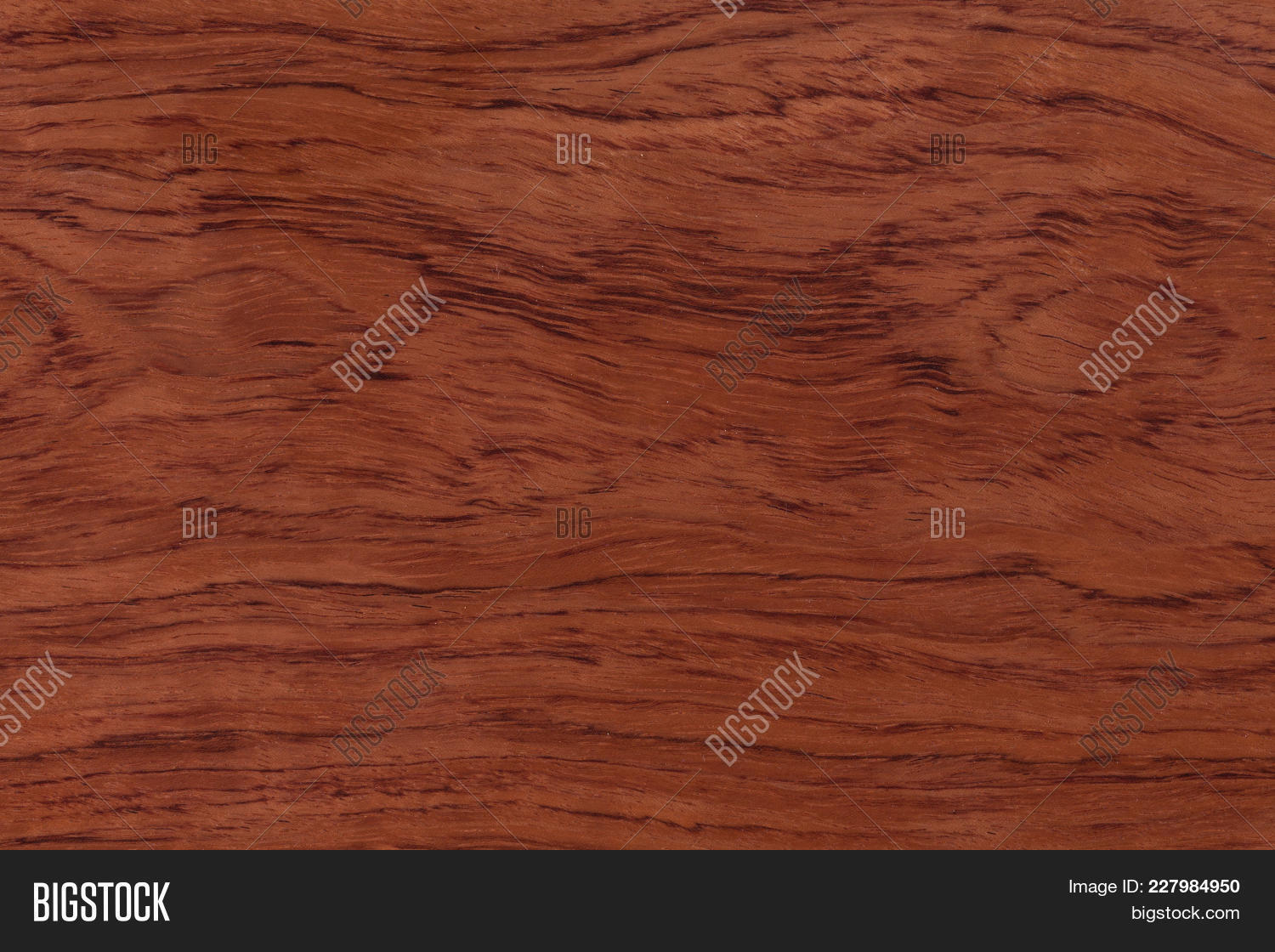 abstract,architecture,art,background,blank,board,brown,bubinga,burl,burled,burr,button,carpenter,circle,color,construction,decorative,design,detail,furniture,grain,hardwood,interior,lumber,macro,material,modern,natural,nature,old,ormosia,panel,pattern,plank,red,retro,rosewood,surface,swirl,texture,timber,tree,veneer,vintage,wall,wallpaper,walnut,wood,wooden