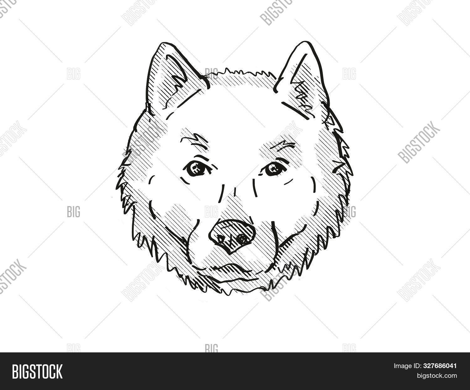 Ainu,Ainu-ken,Hokkaido,Seta,and,animal,artwork,black,breed,canine,cartoon,cross-hatch,dog,domestic,dots,drawing,graphic,half-tone,hand-drawing,head,hound,illustration,isolated,line,mammal,mongrel,pet,puppy,retro,shading,sketch,species,vintage,watchdog,white,working