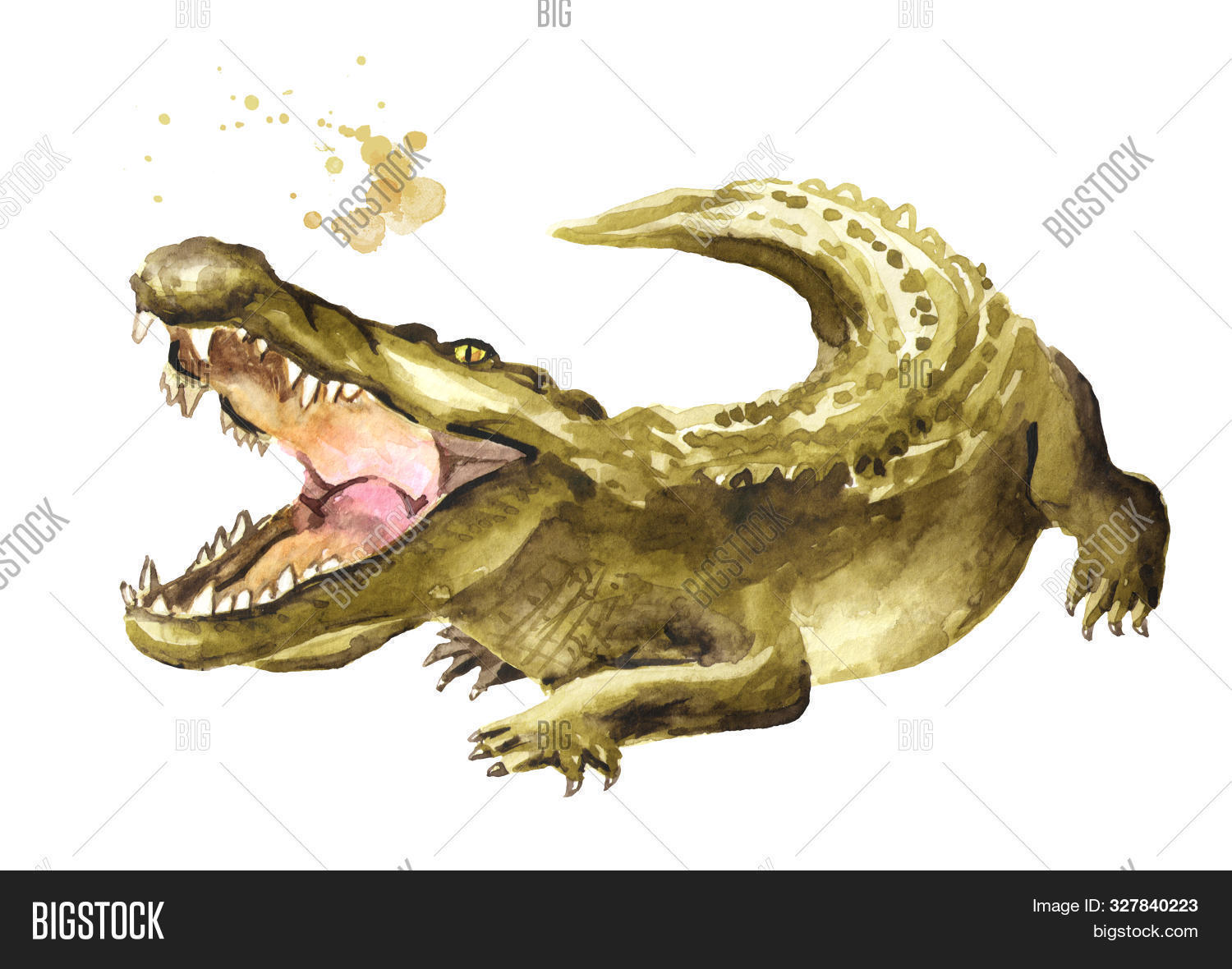 africa,aggression,alligator,angry,animal,assail,assault,attack,attacking,background,carnivore,competitor,contender,contestant,croc,crocodile,danger,dangerous,deadly,drawing,drawn,hand,head,hungry,hunt,hunter,isolated,jaw,kill,killer,leather,mouth,muzzle,nature,open,powerful,predator,reptile,sharp,sketch,skin,swamp,teeth,tooth,water,watercolor,watercolour,white,wild,wildlife