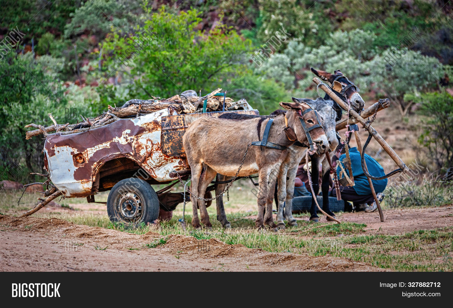 Africa,African,Botswana,Repair,accident,animal,black,body,car,cart,collaboration,developing,domestic,donkey,fix,flat,group,man,masculine,men,nations,old,people,person,poor,poverty,pull,rural,rust,rusty,stationary,third,tire,traction,transport,travel,two,tyre,village,vintage,waiting,world