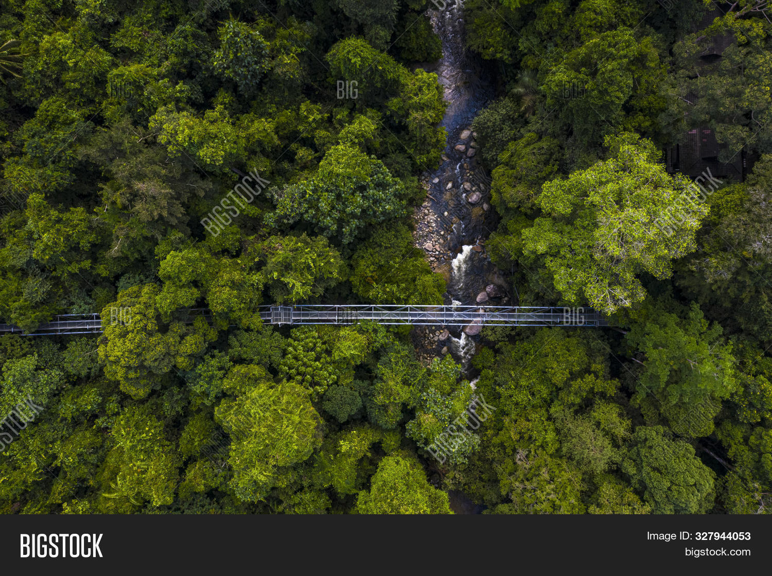 adventure,aerial,attractions,background,beautiful,bridge,canopy,ecology,environment,flora,flowing,forest,fresh,freshness,green,holiday,jungle,kedah,kulim,landmark,landscape,malaysia,mountain,natural,nature,outdoor,park,peace,peaceful,plant,river,scenery,scenic,sedim,stream,top,tour,tourism,travel,tree,tropical,view,walk,walkway,water,waterfall,wild