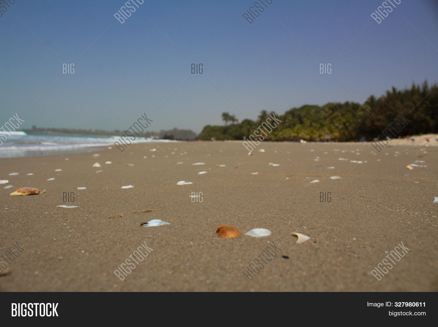 africa,animal,background,beach,beachfront,blue,boat,coast,evening,exotic,holiday,horizon,hot,island,landscape,light,marine,nature,ocean,palm,paradise,people,postcard,rocks,sand,sea,seashell,seashore,seaside,senegal,shadow,shape,shell,shellfish,sign,silhouette,sky,summer,summertime,sun,sunlight,sunny,sunshine,tide,travel,tropical,vacation,water,wave