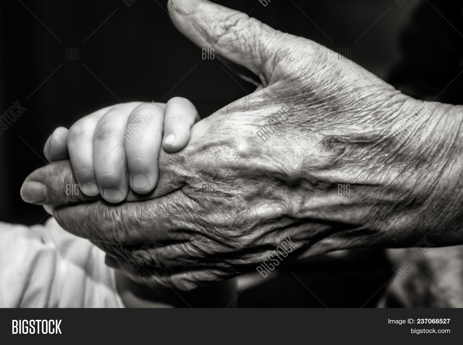 BW,adult,age,aged,baby,back,care,child,children,closeup,concept,elder,elderly,family,finger,friendship,generation,grandparent,grandson,hand,help,hold,holding,human,idea,kid,love,old,palm,parent,people,person,protecting,protection,relationship,retro,security,senior,skin,style,support,together,togetherness,touch,two,vintage,white,wrinkle,wrinkled,young