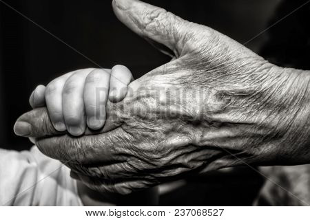 Childs Hand And Old Wrinkled Skin Palm Finger Concept Idea Of Love Family Protecting Children And El