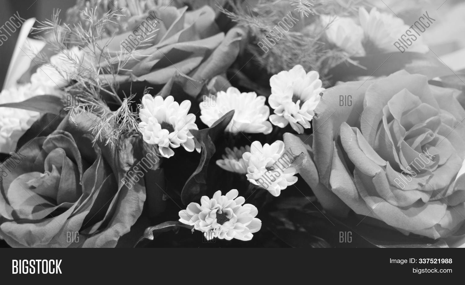 background,banner,beauty,black,bloom,body,bouquet,card,chrysanthemum,close-up,color,copy,dark,delicate,design,elegant,flora,flower,fragrance,gift,gray,greeting,headline,holiday,horizontal,love,monochrome,natural,nature,nobody,panorama,petal,photography,plant,relaxation,rose,rustic,stretched,table,tree,web,white
