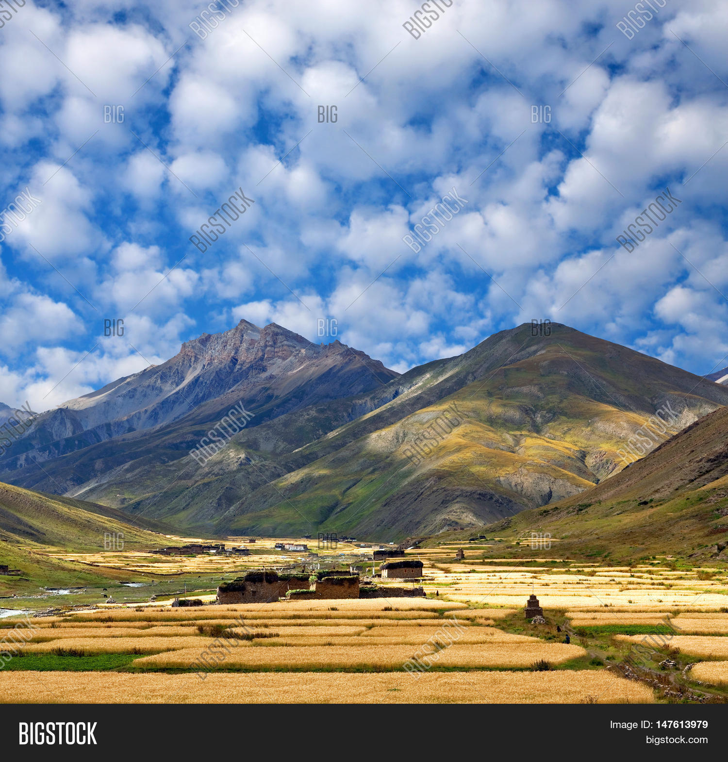 agriculture,altitude,asia,barley,blue,chorten,cloud,culture,dho,dolpa,dolpo,environment,ethnic,farm,field,gompa,grass,hiking,hill,himalaya,himalayan,house,journey,landscape,mountain,national,nature,nepal,nepalese,nomad,outdoor,park,pass,pasture,peaks,phoksumdo,phoksundo,picturesque,rural,shey,sky,tarap,tibet,tibetan,tourism,traditional,travel,trekking,view,village