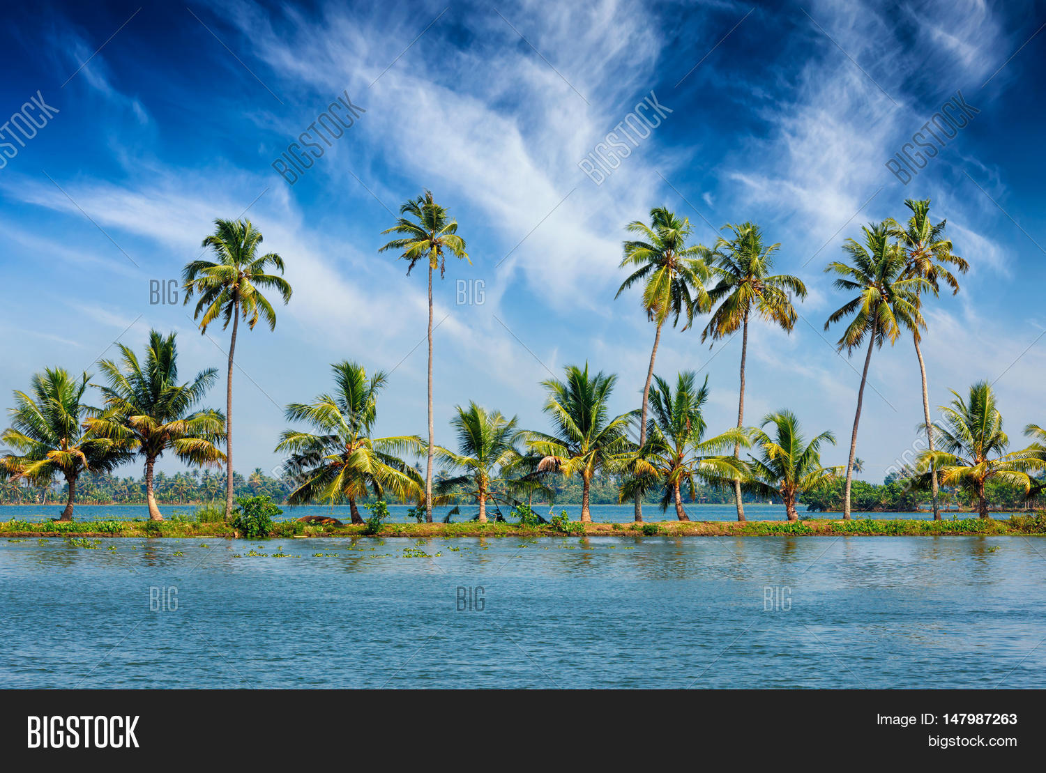 allepey,asia,asian,backwaters,beach,blue,canal,channel,coast,coconut,day,dream,fresh,heaven,heavenly,holiday,india,indian,kerala,landscape,outdoor,outside,palm,paradise,reflection,rice,ripple,river,sea,shot,sky,south,tourism,travel,tree,tropical,vacation,water,waterway,waves