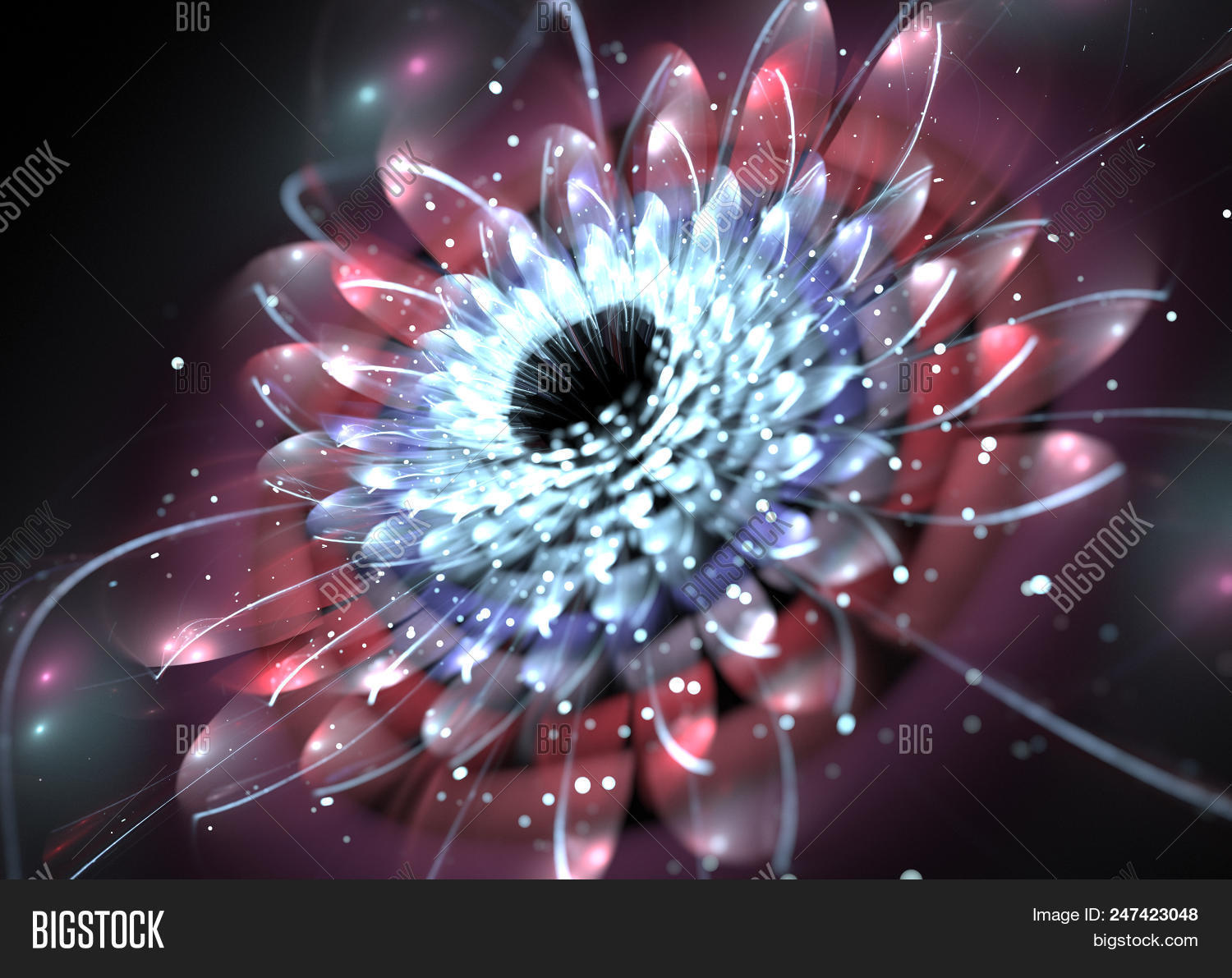 3D,Michaelmas,art,aster,astral,background,blossom,blue,chrysanthemum,dahlia,daisy,design,ecclesiastical,factal,floral,floret,flower,fractal,geometry,golden-daisy,image,inner,leaf,light,lily,lotos,lotus,moral,pattern,pink,sacral,sacred,shine,shining,shiny,spiritual,symbols,tinsel
