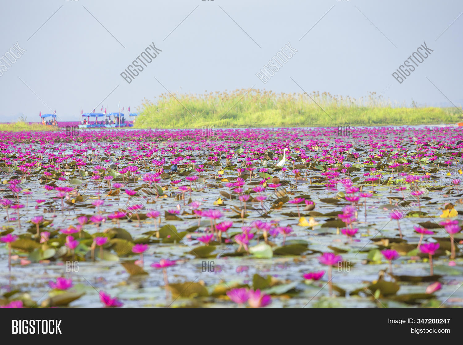 land,deadwood,dirt,outdoor,dead,perennial,tree,concept,black,rural,pattern,surreal,lake,field,background,leafless,drought,earth,desert,abstract,texture,burnt,wood,evergreen,alone,tropical,wooden,brown,hot,death,sun,summer,ecology,dry,plant,day,environment,river,natural,reflection,season,winter,park,beautiful,forest,water,nature,landscape
