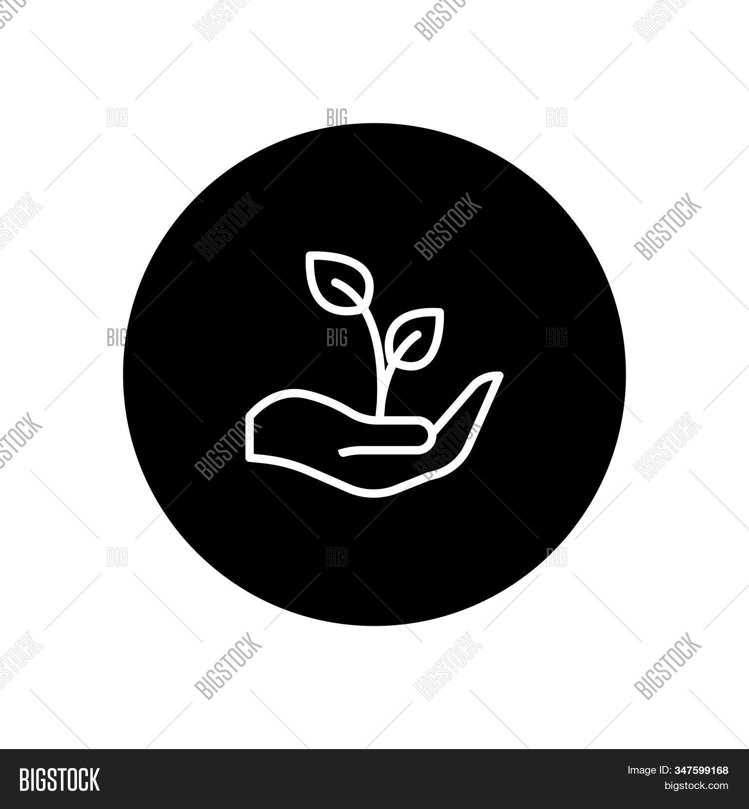 growth,vector,icon,business,symbol,sign,arrow,graph,design,illustration,chart,diagram,graphic,success,increase,data,report,up,progress,bar,simple,concept,finance,grow,infographic,stock,financial,money,profit,sales,investment,market,statistic,marketing,element,growing,black,line,abstract,set,accounting,background,isolated,forecast,economy,web,group,presentation,stats,hand