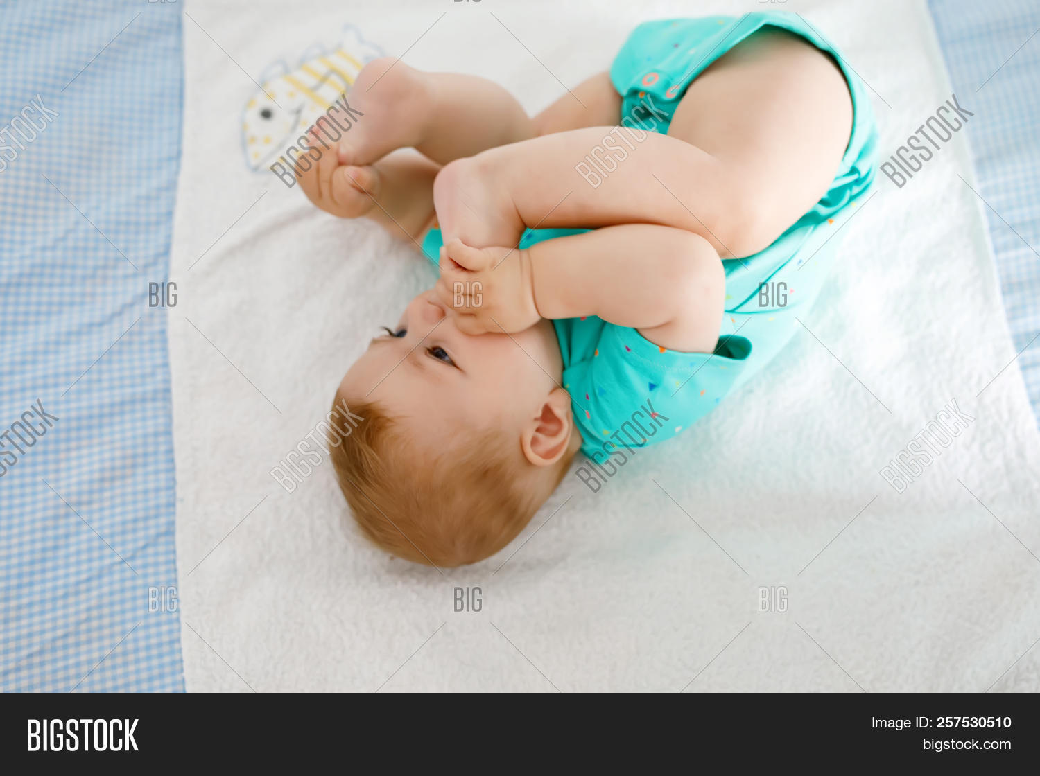 5,6,baby,backgrounds,beautiful,beauty,boys,brown,candy,caucasian,child,childhood,closeup,cute,drop,dummy,eating,ethnicity,face,feet,finger,foot,fun,girl,hair,hand,human,innocence,joy,leg,life,lifestyle,lips,lying,months,mouth,new,newborn,one,person,portrait,skin,small,sucker,sucking,sweet,taking,taste,toes