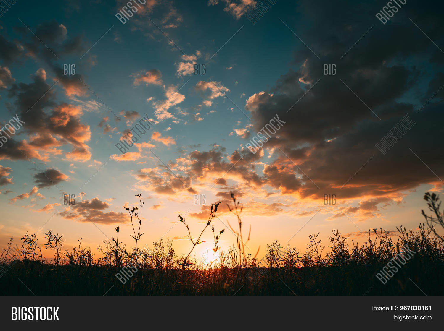 backlight,backlit,beautiful,blue,bright,cloud,cloudscape,color,colour,dark,dawn,evening,golden,grass,heaven,landscape,light,meadow,morning,nature,nobody,orange,outdoor,park,scene,scenic,shine,silhouette,sky,summer,sun,sunlight,sunny,sunrise,sunset,sunshine,weather,yellow