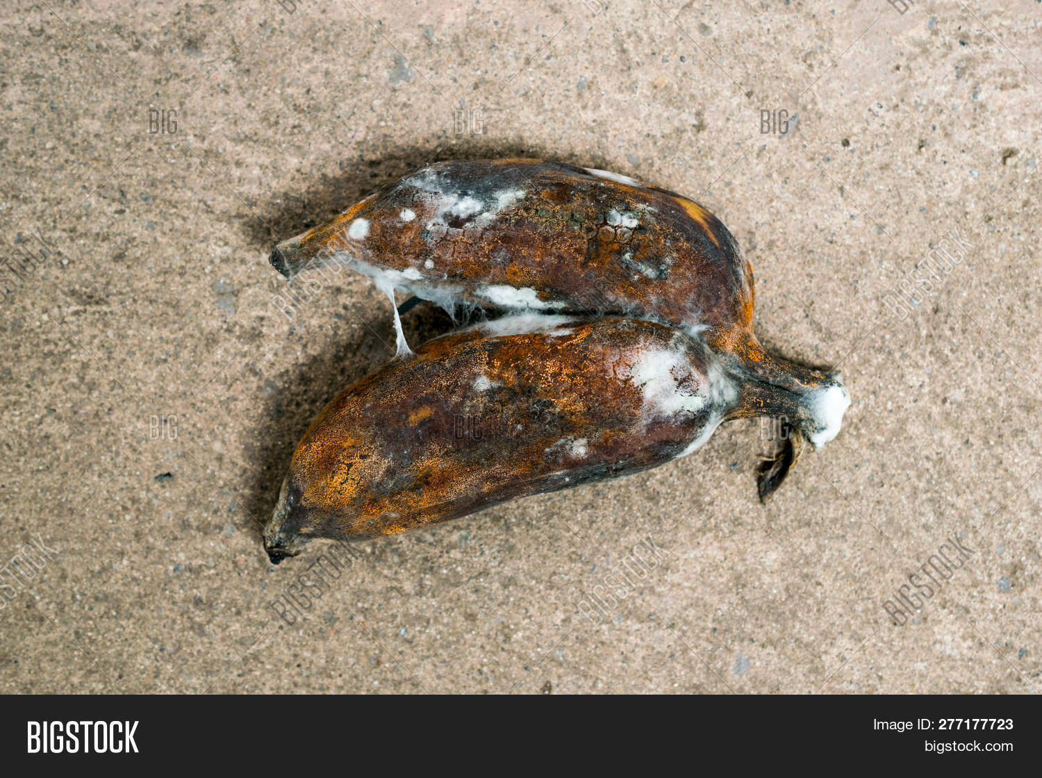 Foodstuff,Fungus,background,bad,banana,black,breakfast,bright,brown,closeup,color,copy,dark,decay,detail,diet,dirty,expired,food,fruit,health,healthy,ingredient,leaf,leaves,mold,natural,nature,nutrition,old,organic,over,overripe,plant,raw,ripe,rotten,skin,space,spoilage,spoiled,sweet,tree,tropical,vegetables,vegetarian,waste,white,yellow