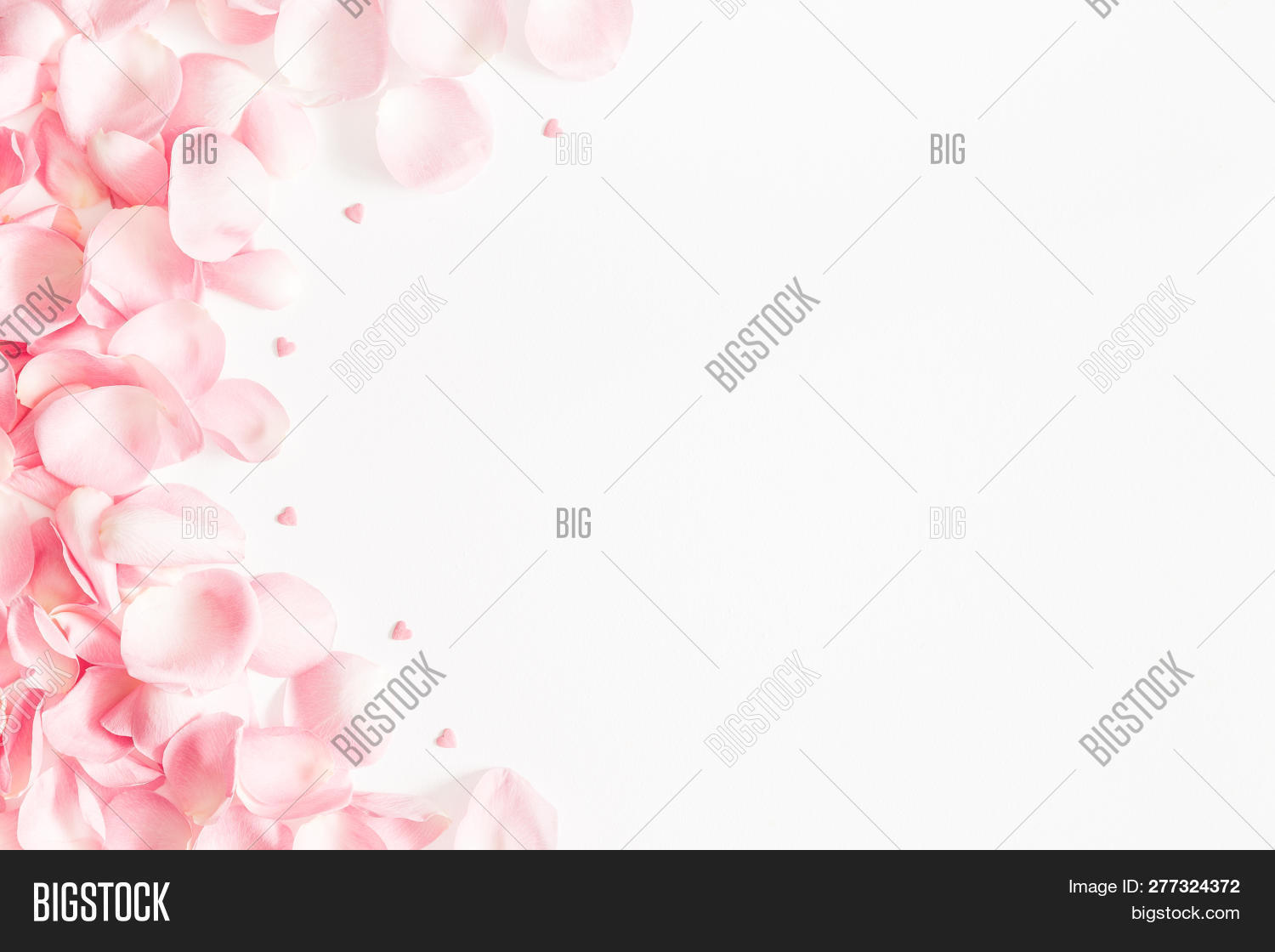 图片background Floral Vintage Hipster 图片s Tumblr Tumblr 图片从 Branch Of Lilac Flowers With Green Leaves Floral Natural Vintage