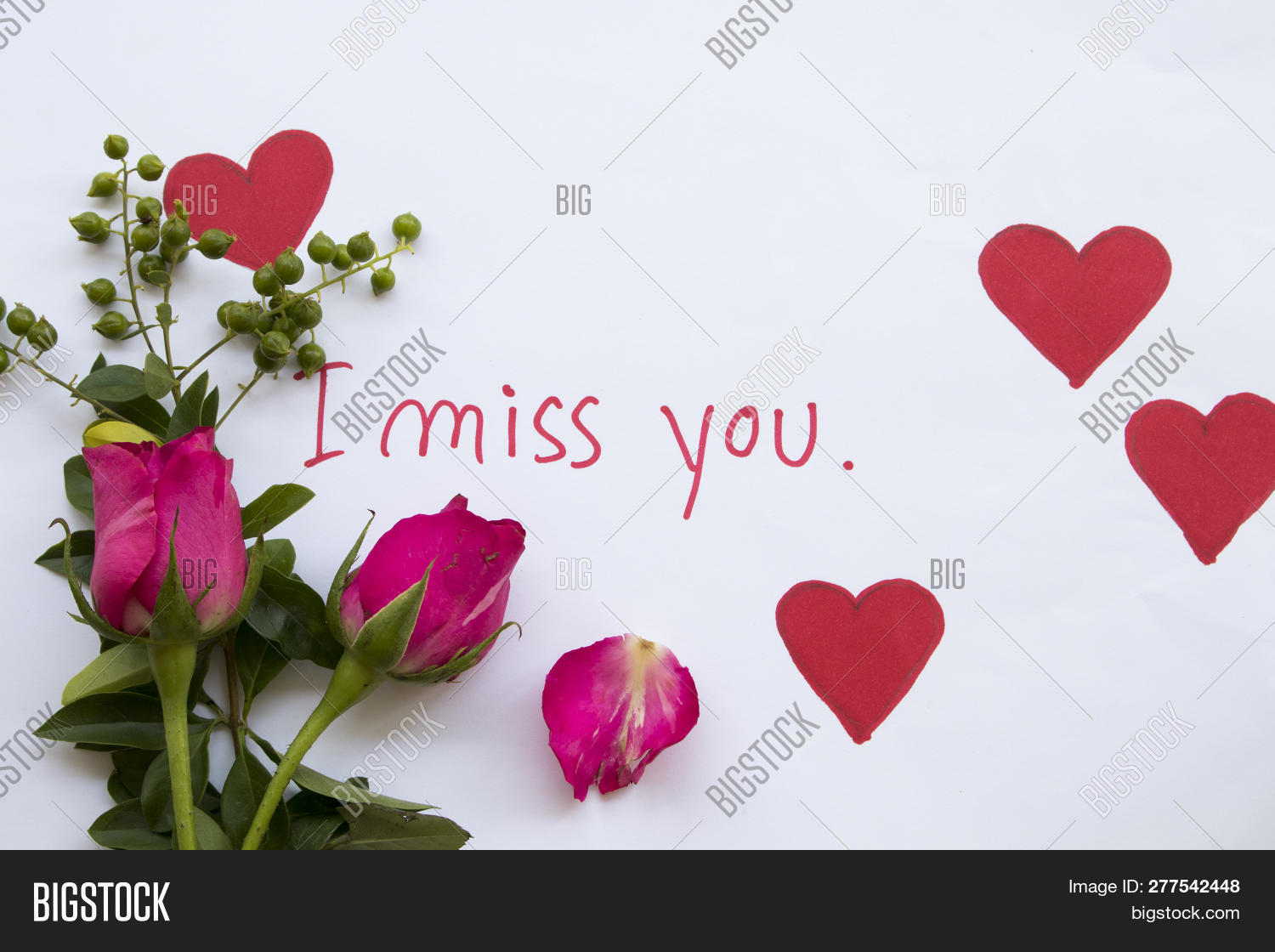 apologize,apology,arrangement,background,card,concept,content,decorate,design,draw,emotion,excuse,feeling,flower,handwriting,heart,i,isolated,leaves,longhand,love,message,miss,note,notepaper,object,paper,passage,passion,pink,plants,plot,postcard,red,rose,send,sign,special,style,text,texture,thinking,trace,valentine,white,word,write,you