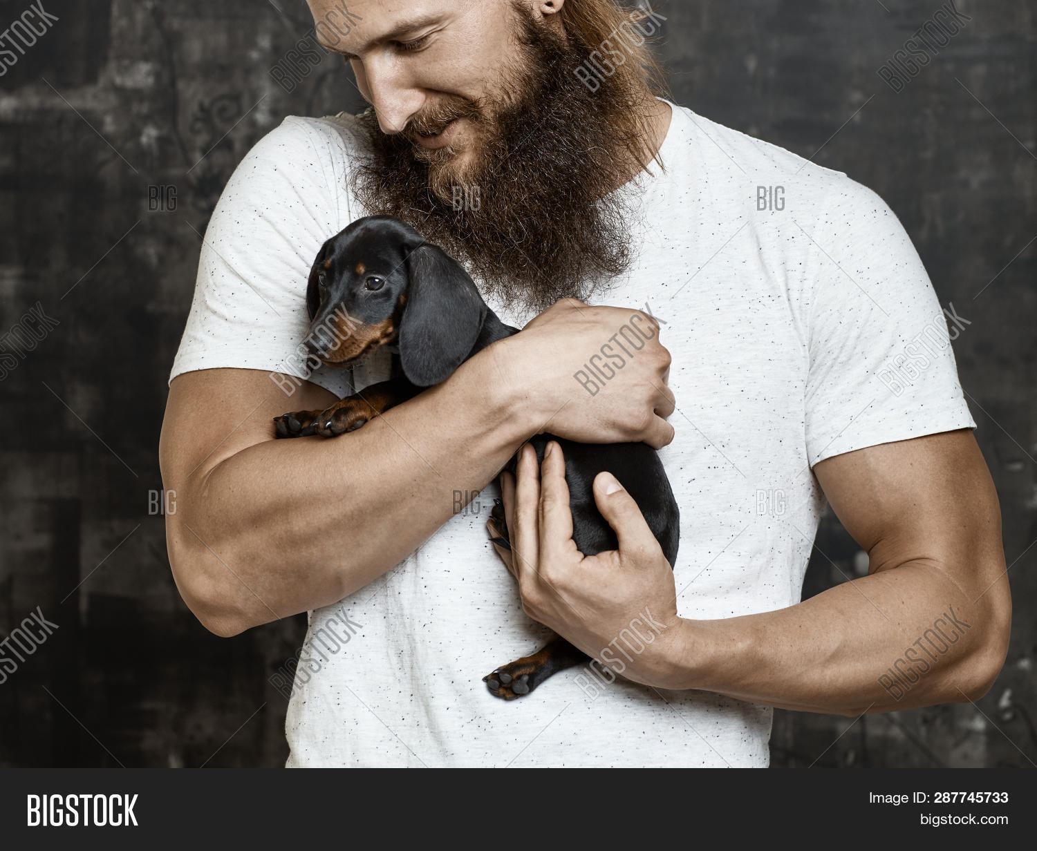 adorable,adult,affection,affectionate,alone,american,animal,beard,bearded,bond,bonding,care,caressing,casual,caucasian,cuddle,cuddling,cute,dachshund,dackel,dog,embracing,european,fondling,holding,hug,in hand,little,love,male,man,muscular,mustache,one person,pet,puppy,satisfied,sausage dog,single,smile,sporty,sweet,tender,tenderly,touching,trendy,young